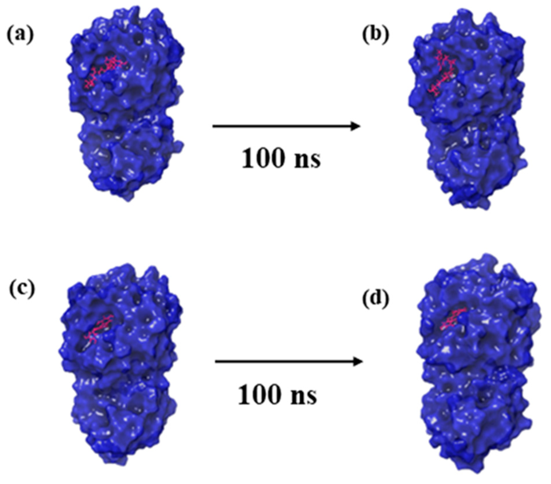 Marinedrugs 21 00626 g002a