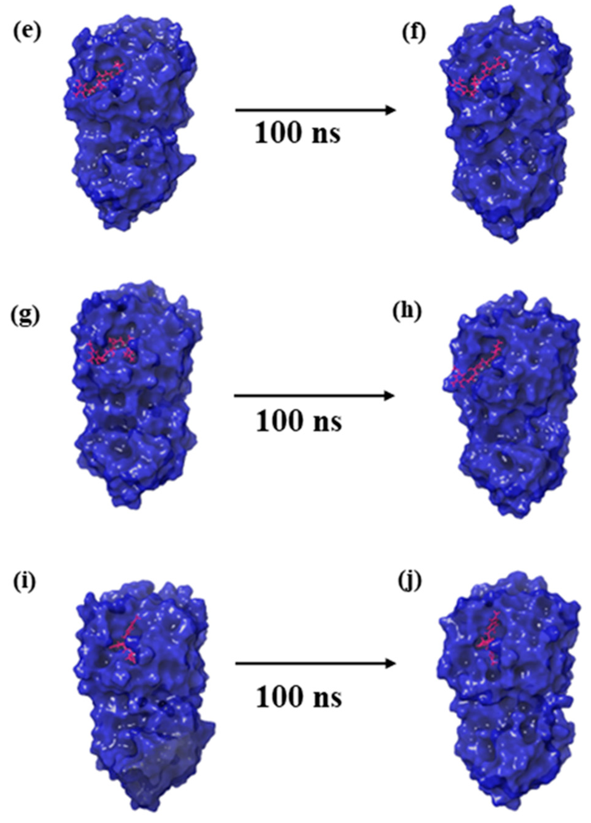 Marinedrugs 21 00626 g002b