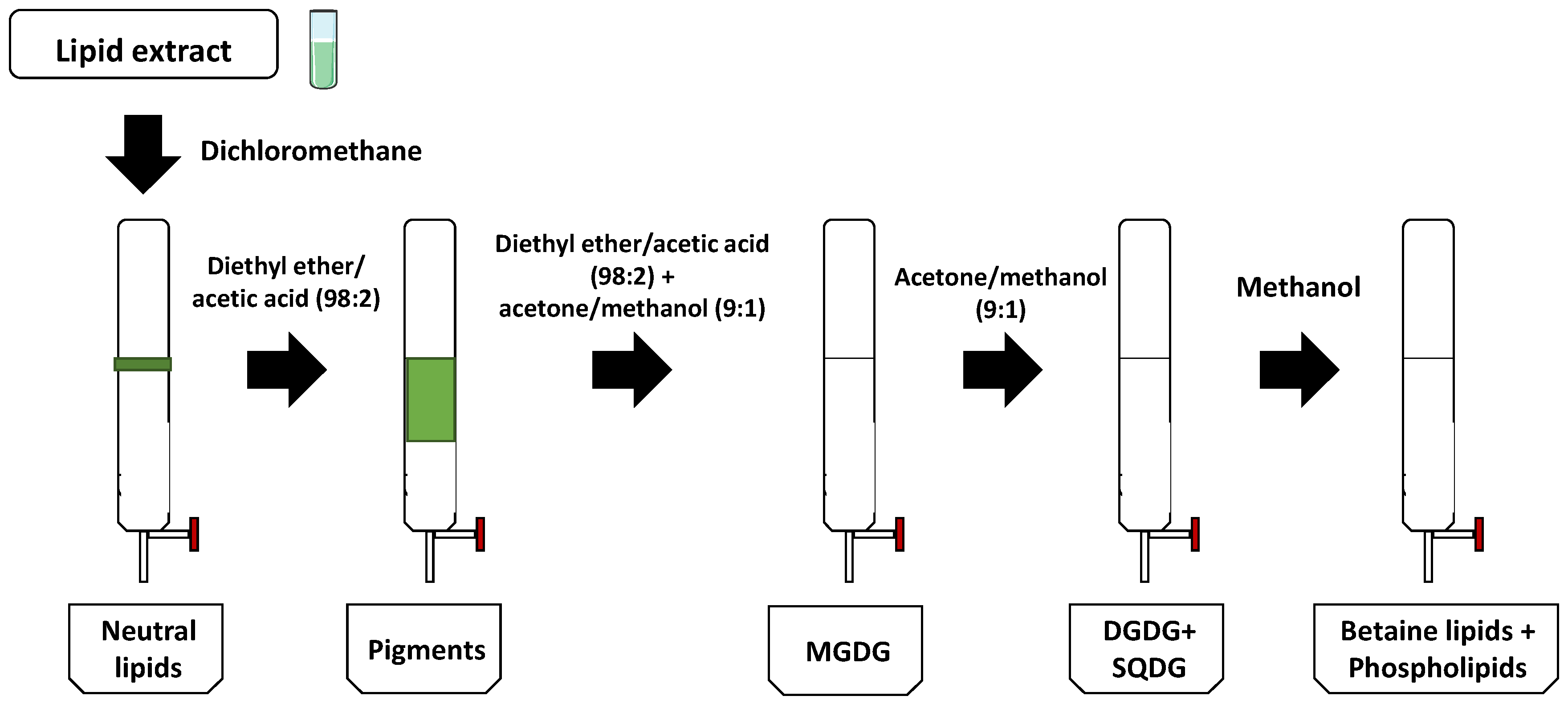 Marinedrugs 21 00629 g007