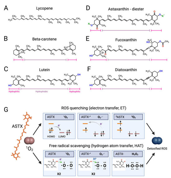 The Clinical Promise of Microalgae in Rheumatoid Arthritis