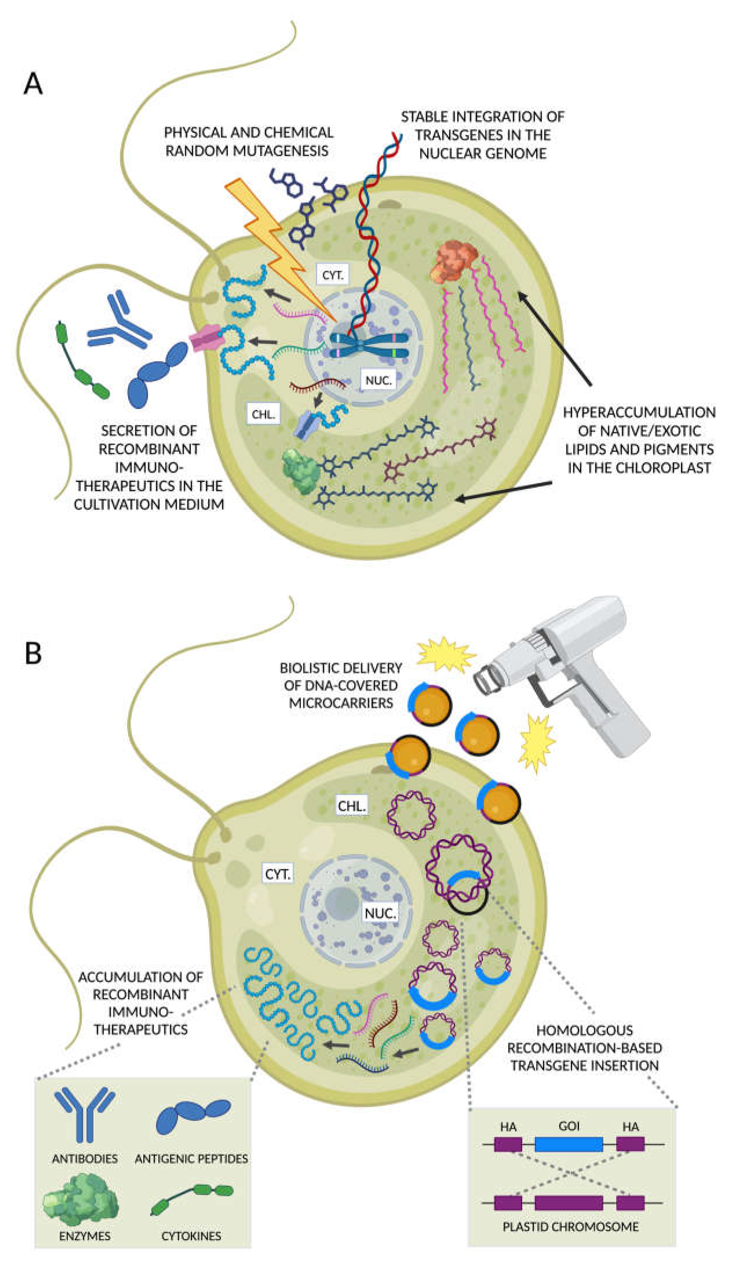 Marinedrugs 21 00630 g005