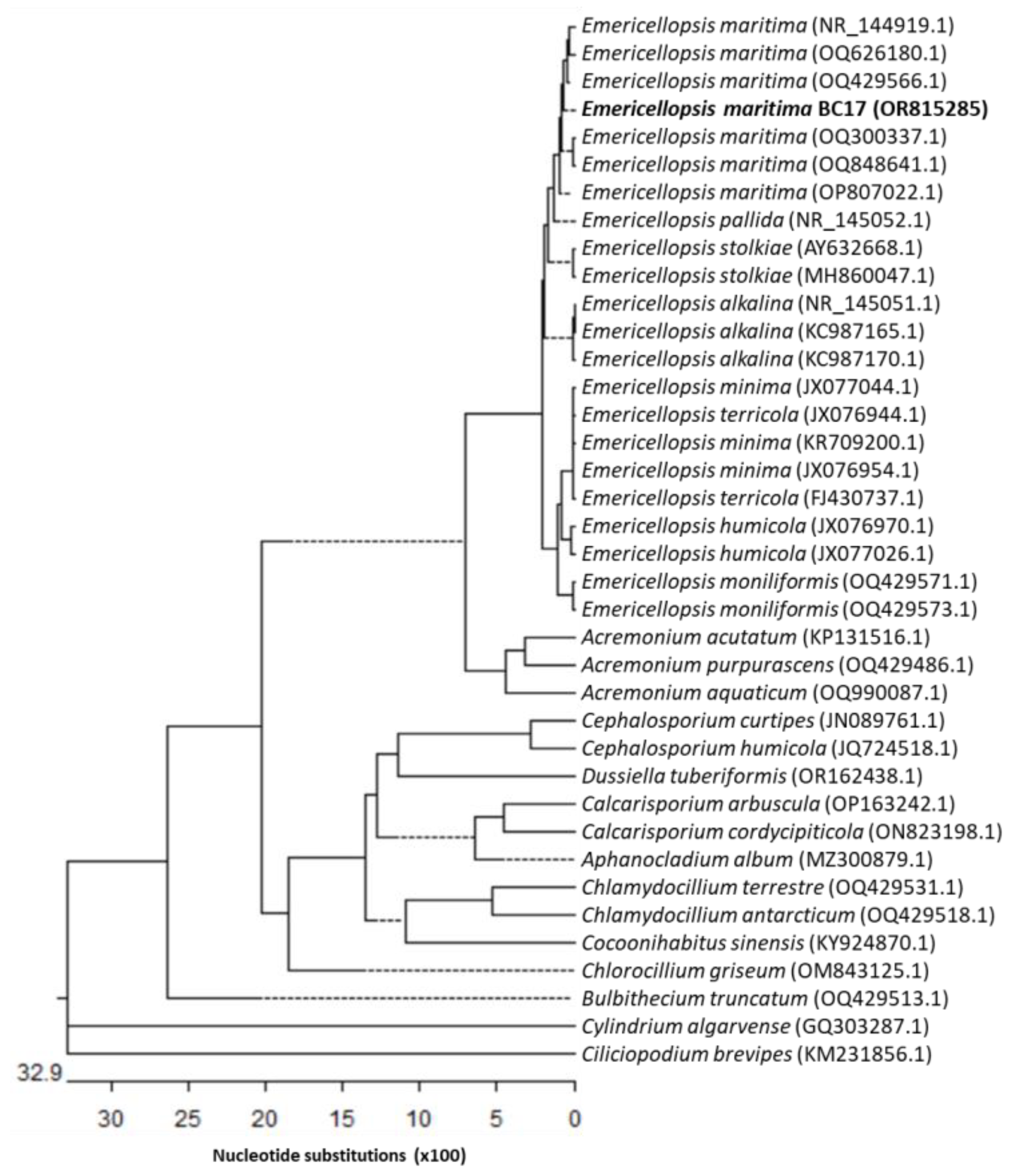 Marinedrugs 21 00634 g001