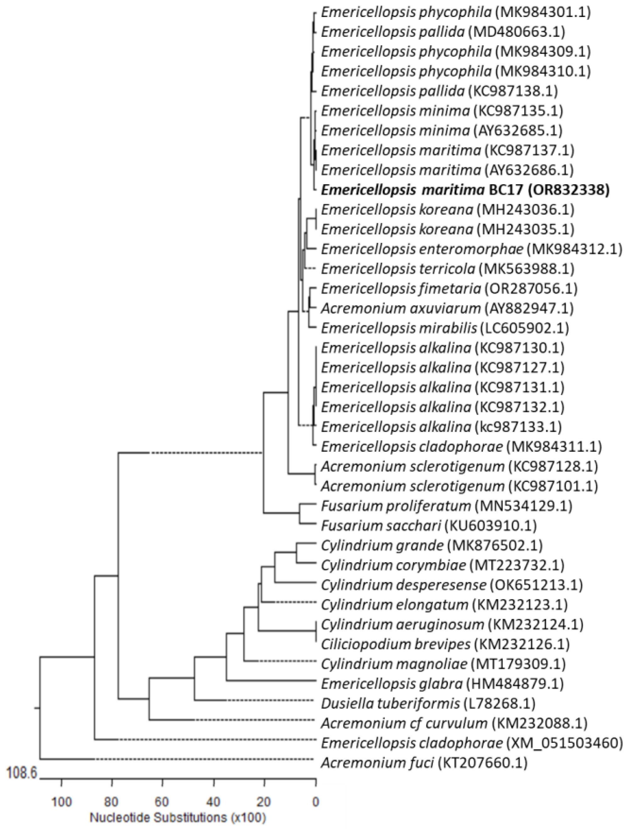 Marinedrugs 21 00634 g002