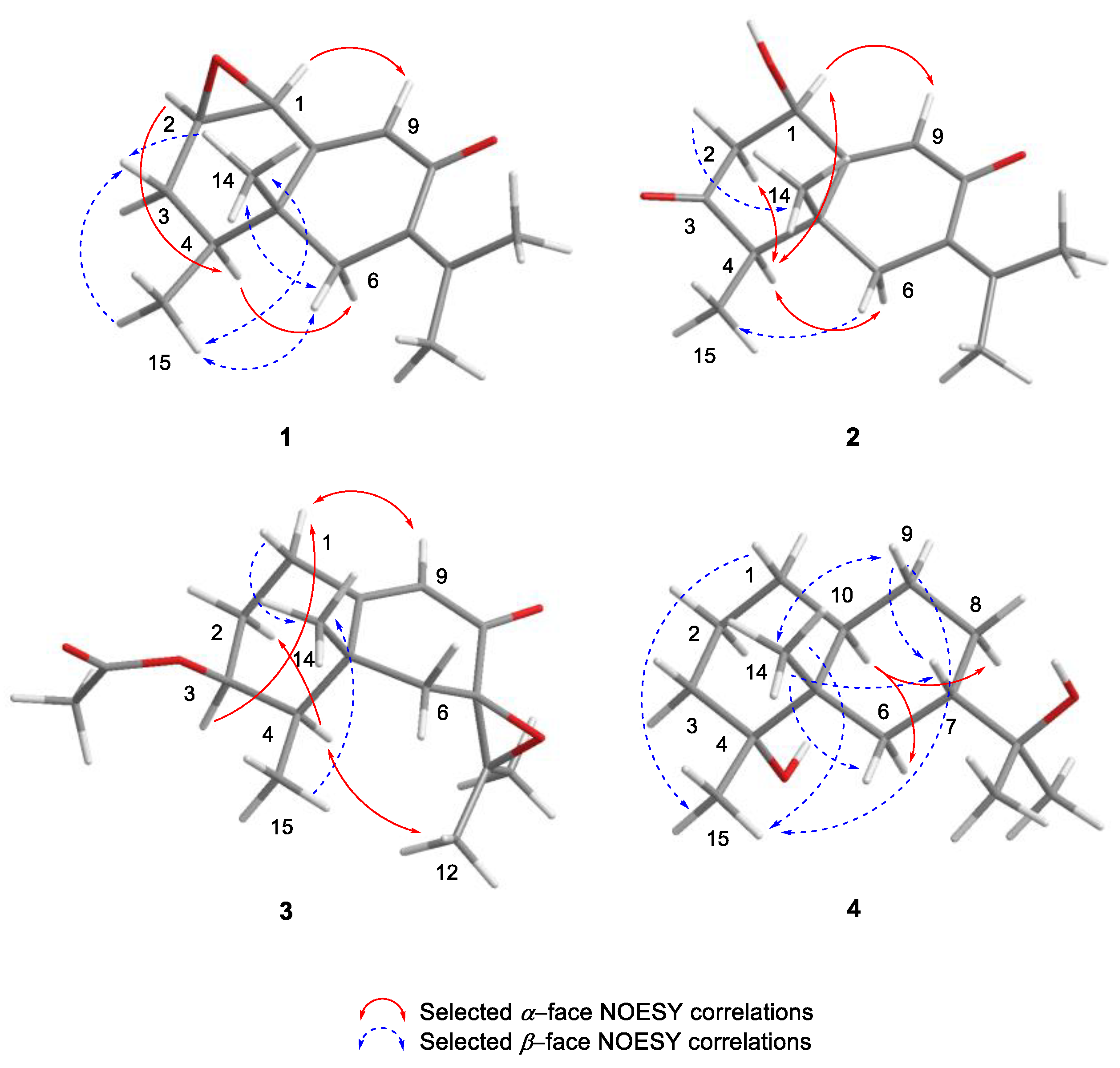 Marinedrugs 21 00634 g004