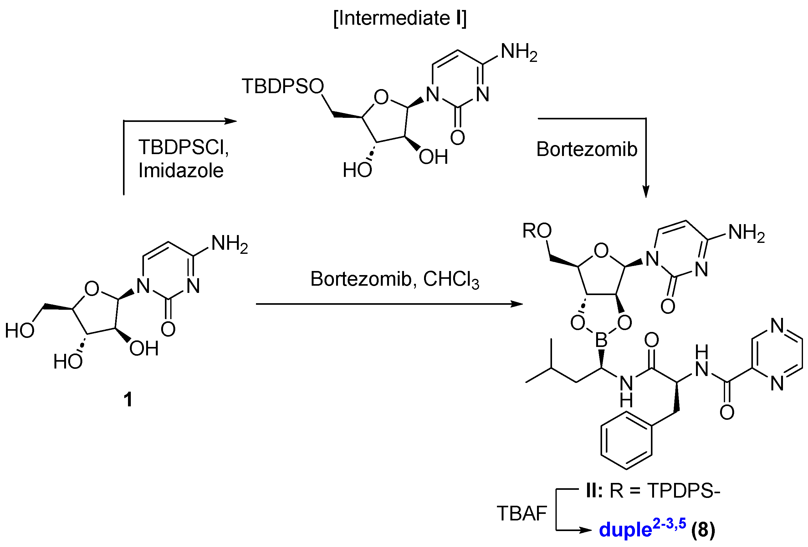 Marinedrugs 21 00637 sch002 Marinedrugs 21 00637 sch002