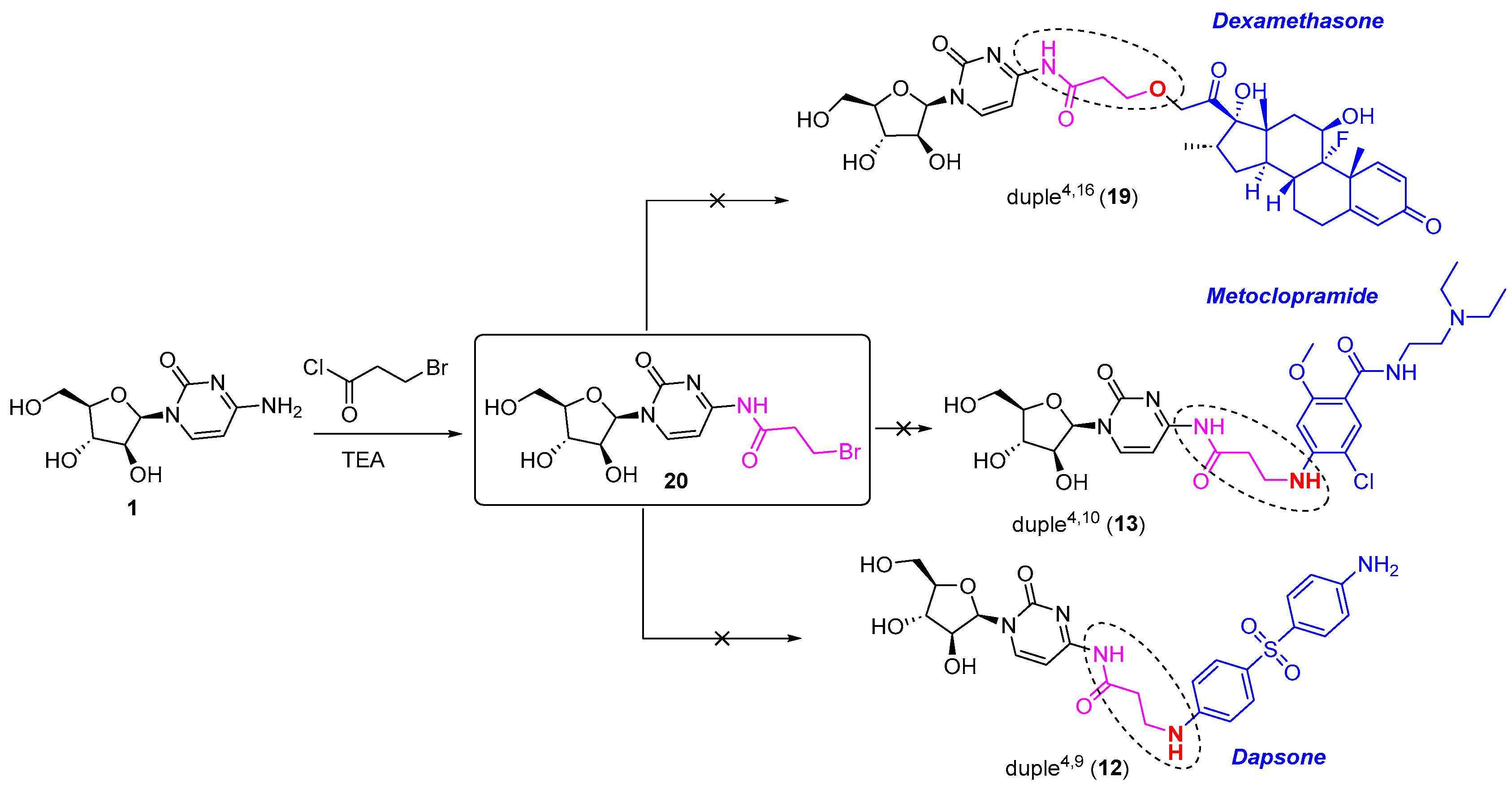 Marinedrugs 21 00637 sch003 Marinedrugs 21 00637 sch003