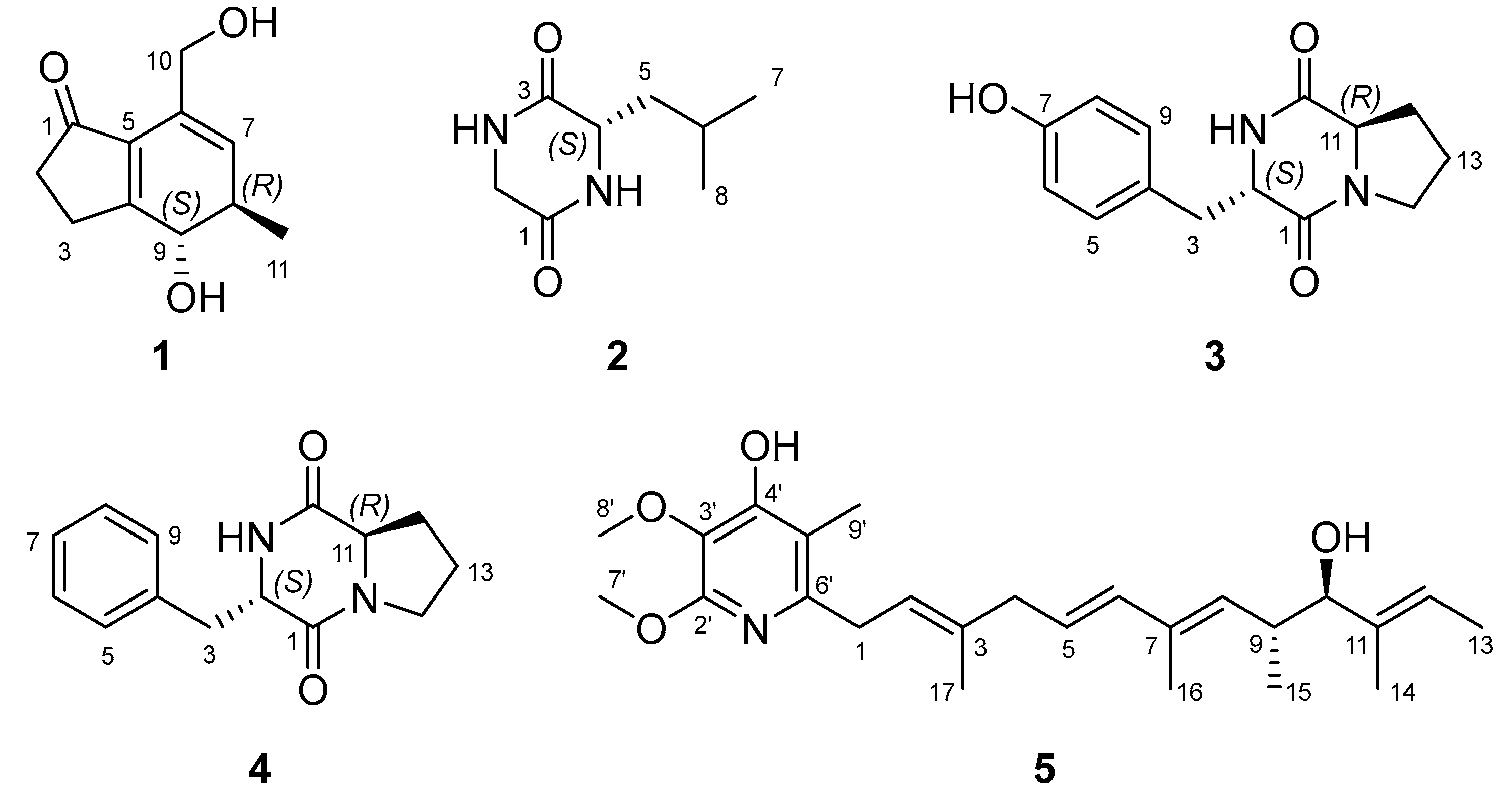 Marinedrugs 21 00640 g001
