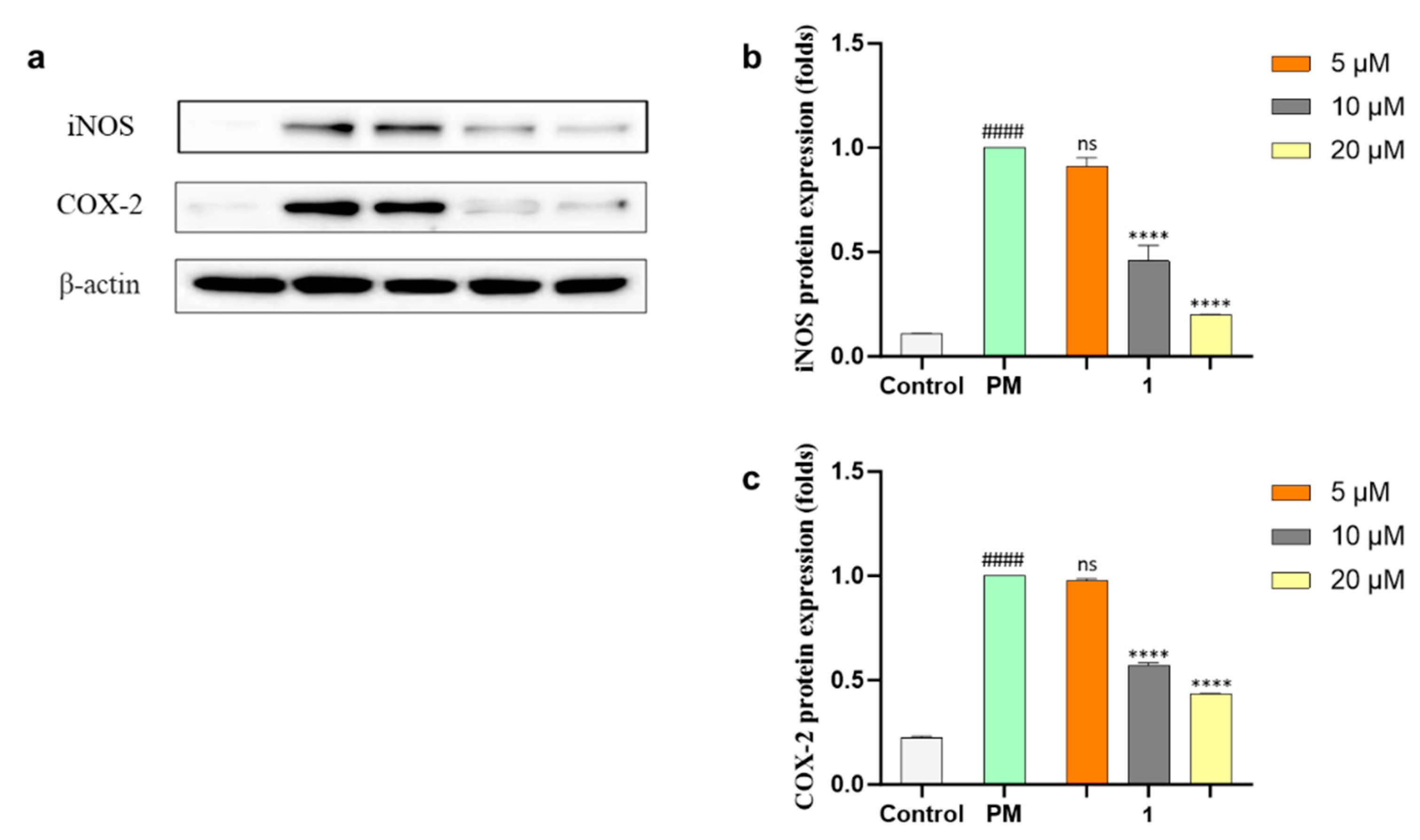 Marinedrugs 21 00640 g005