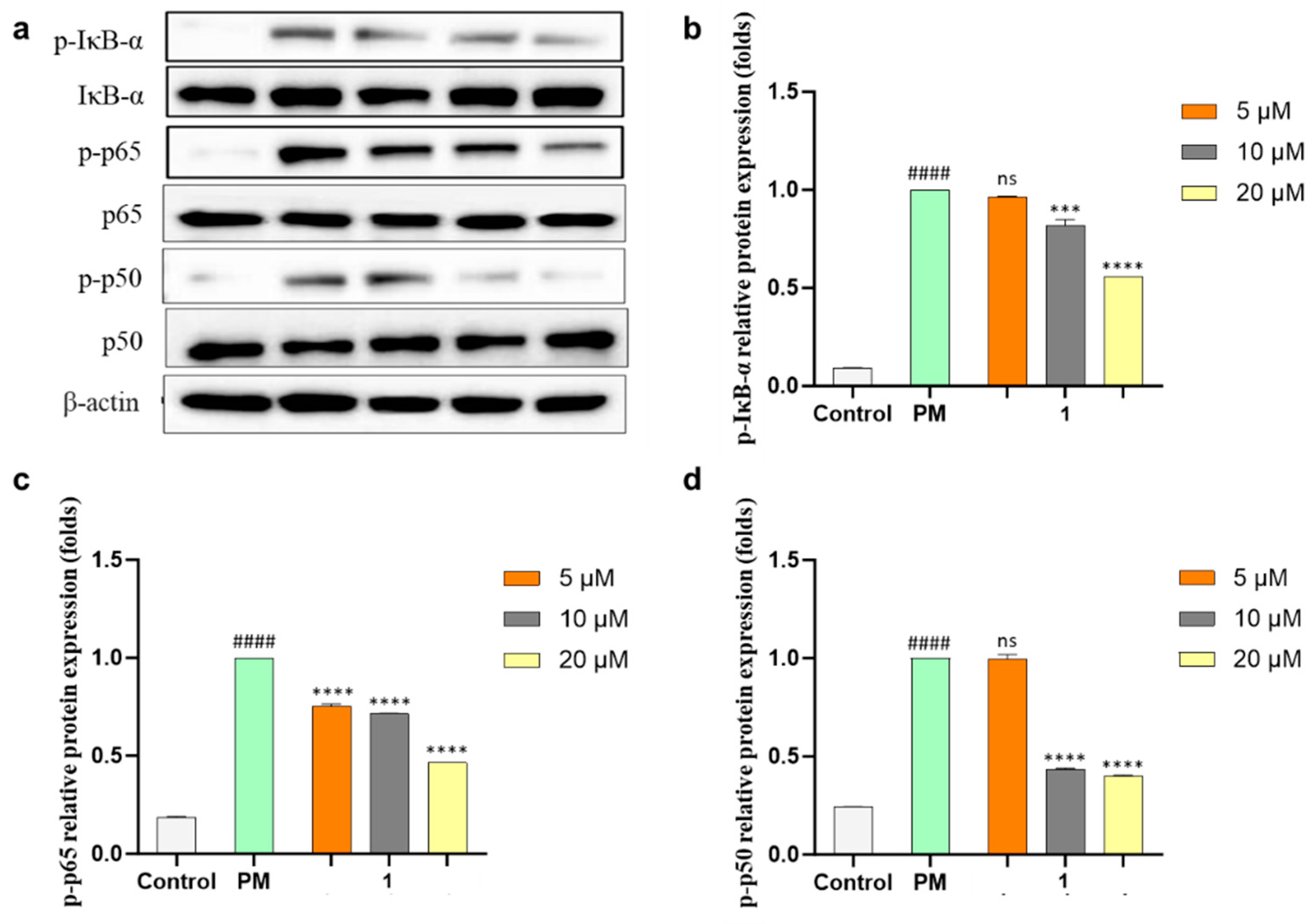 Marinedrugs 21 00640 g007