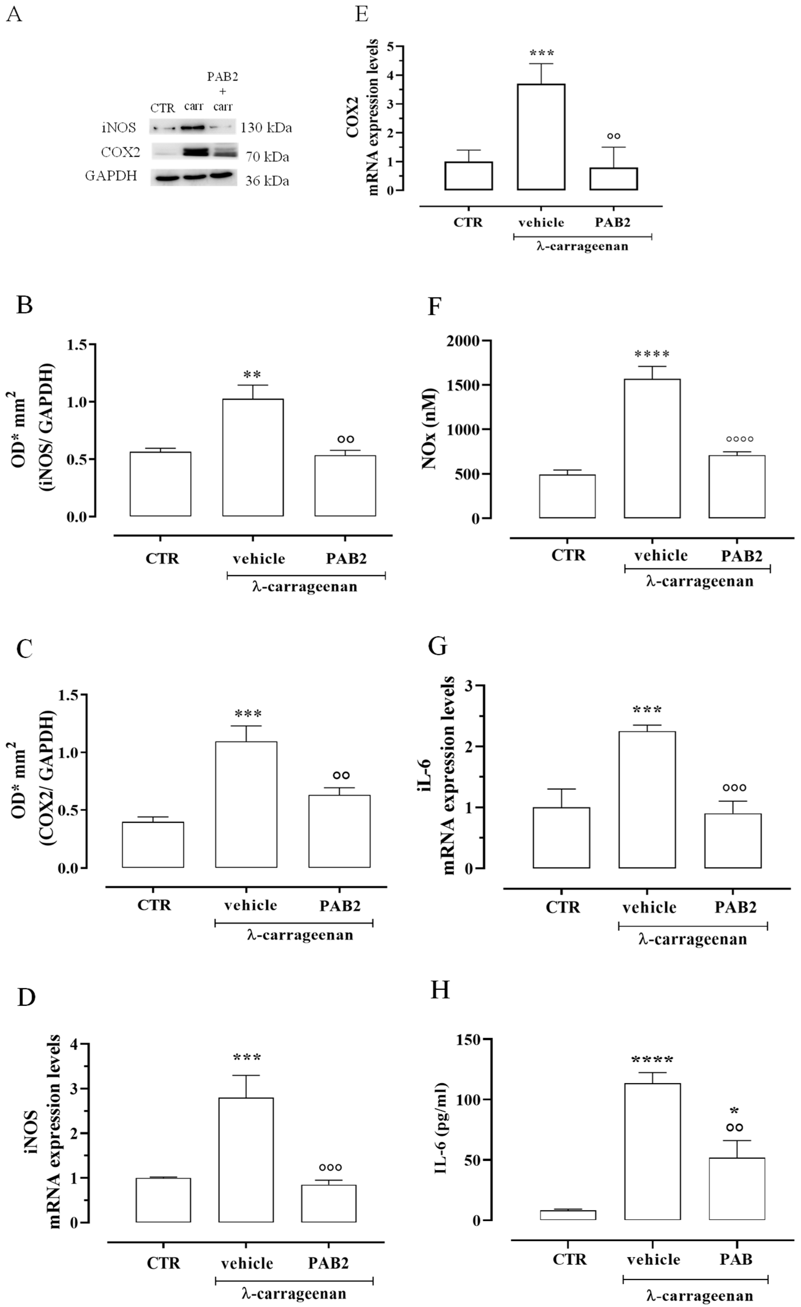 Marinedrugs 21 00641 g008