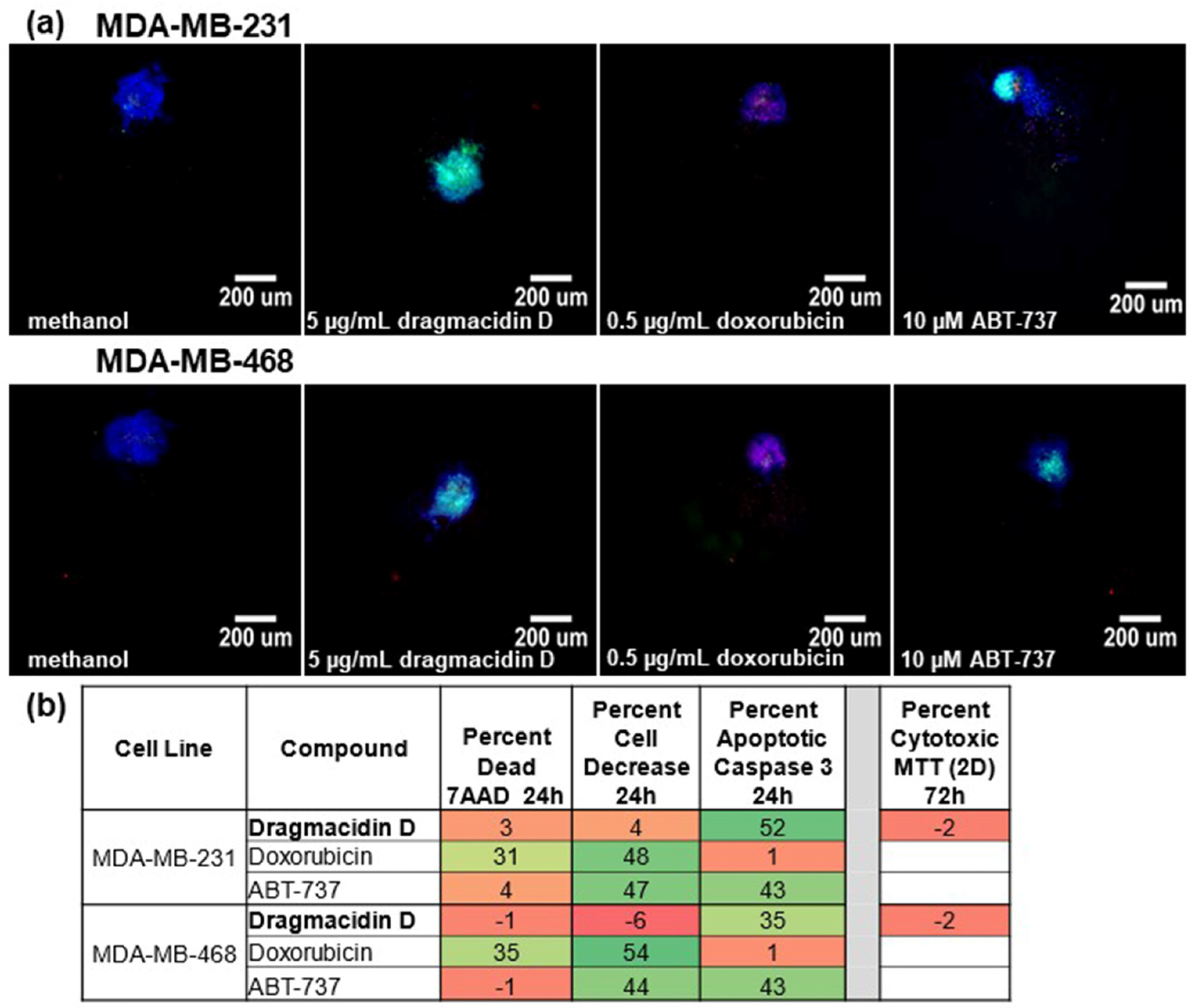 Marinedrugs 21 00642 g002