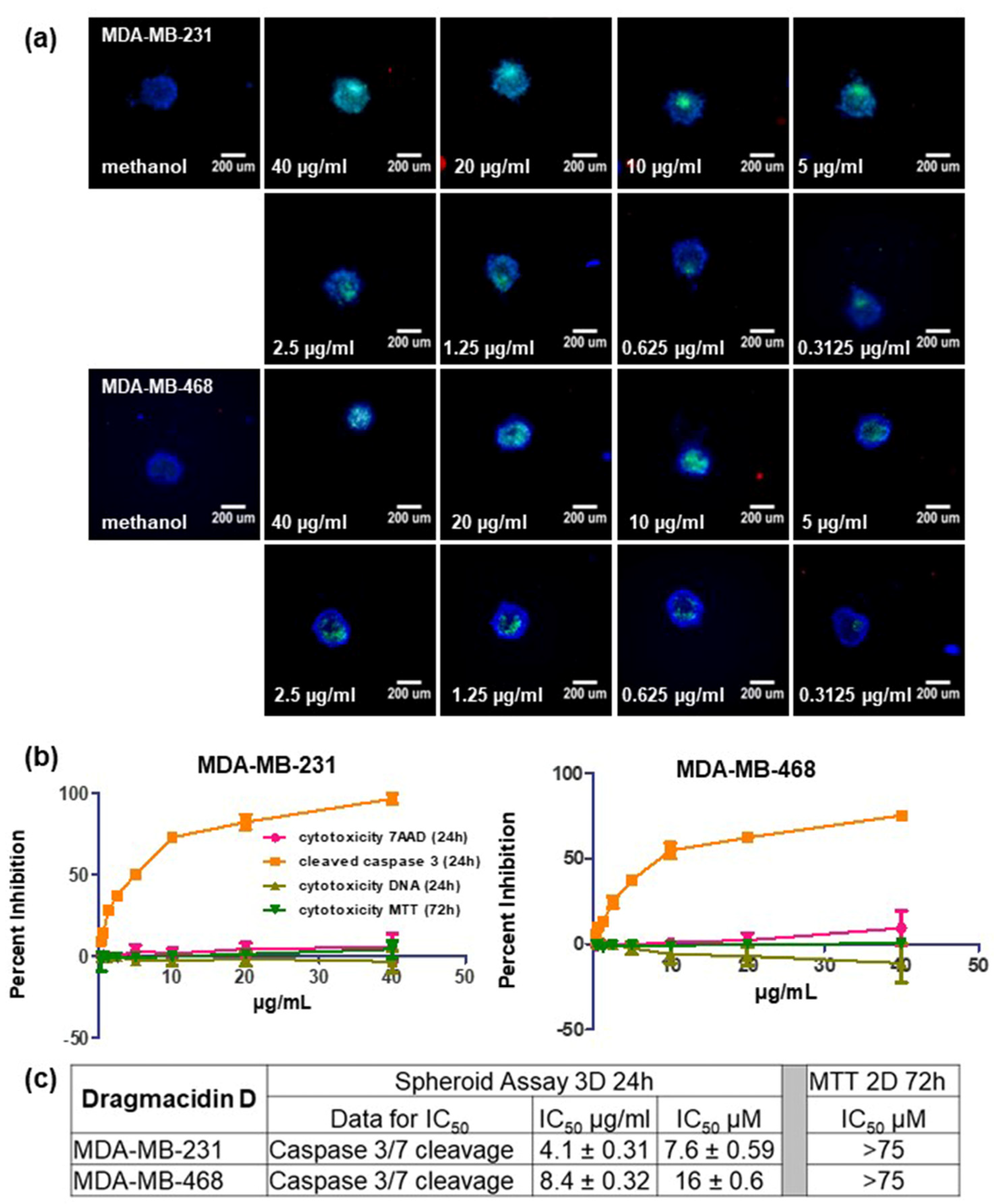 Marinedrugs 21 00642 g003