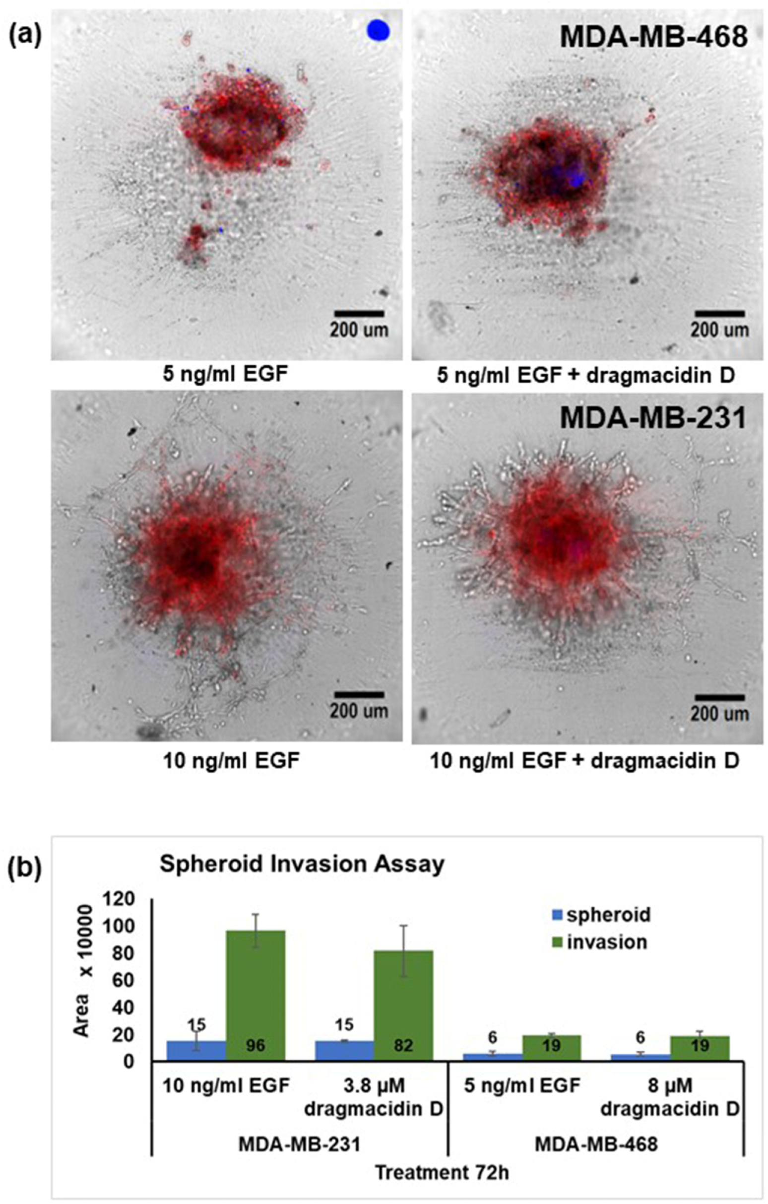 Marinedrugs 21 00642 g006