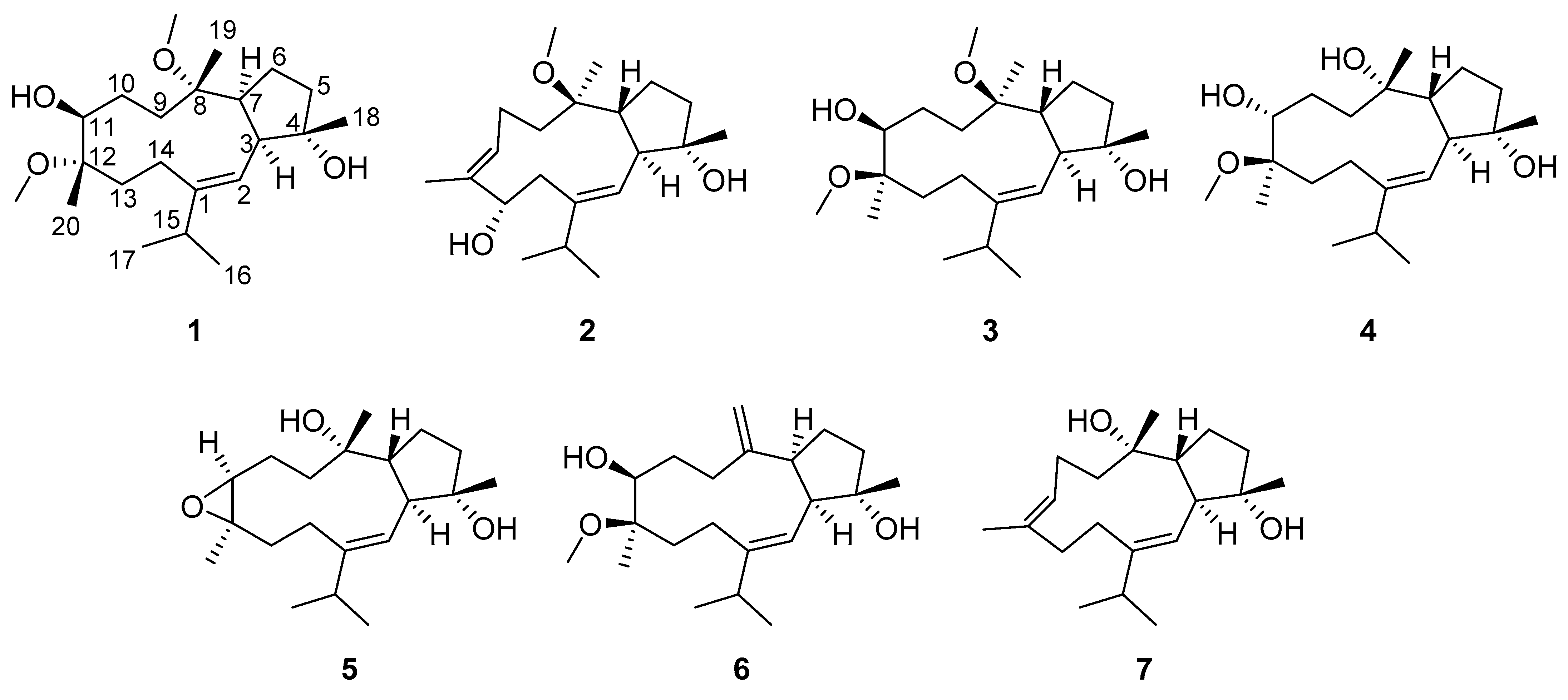 Marinedrugs 21 00645 g001