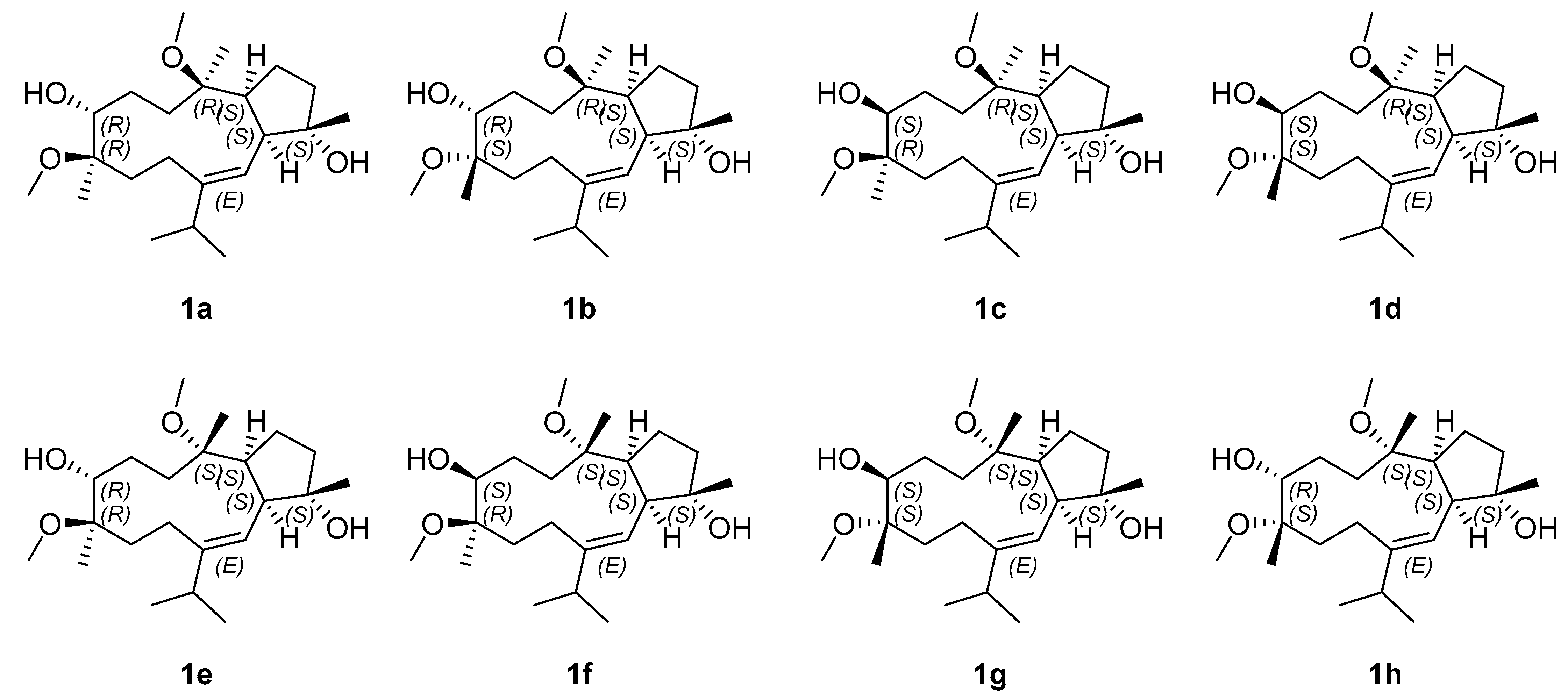 Marinedrugs 21 00645 g004