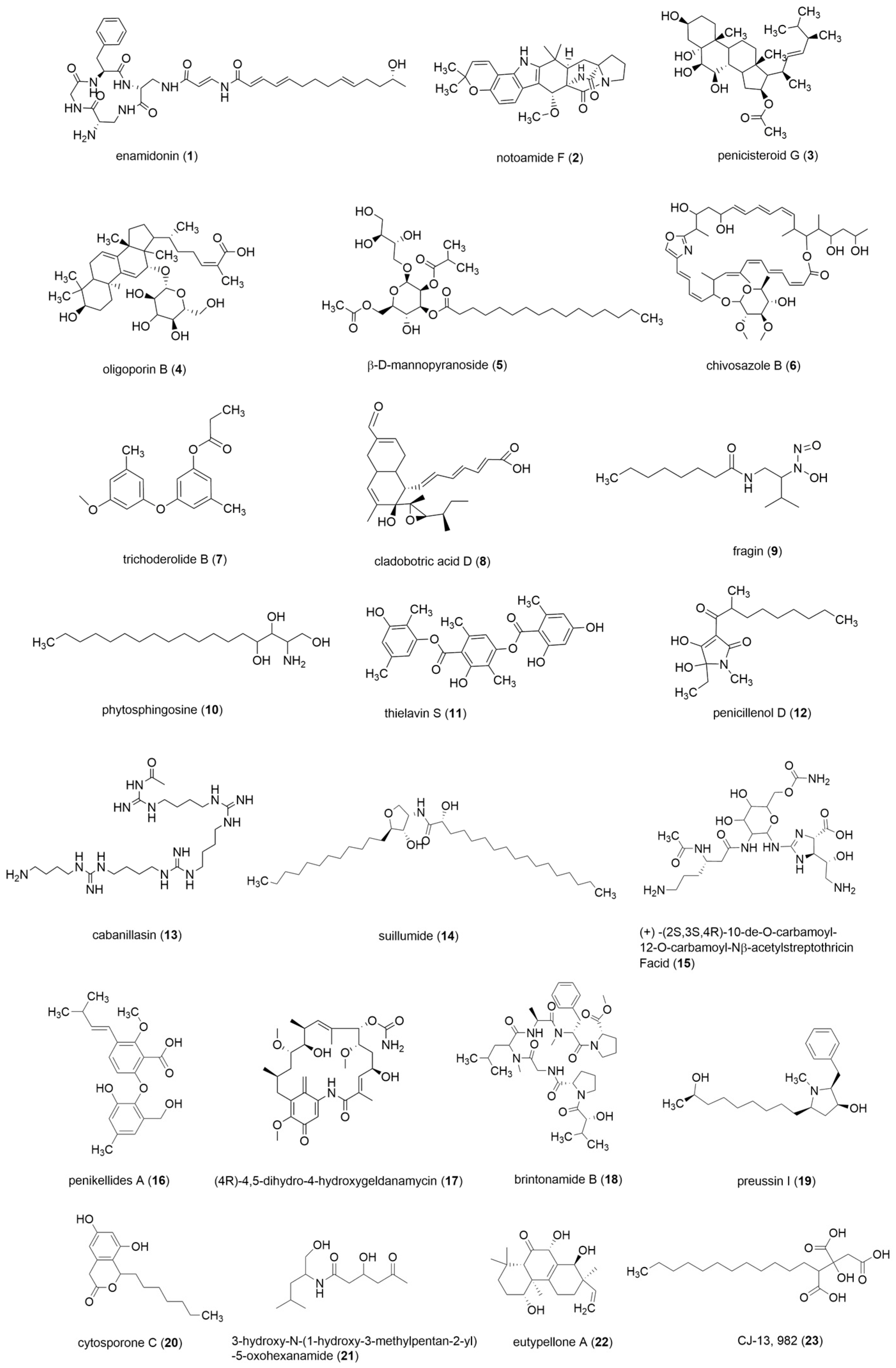 Marinedrugs 21 00646 g005