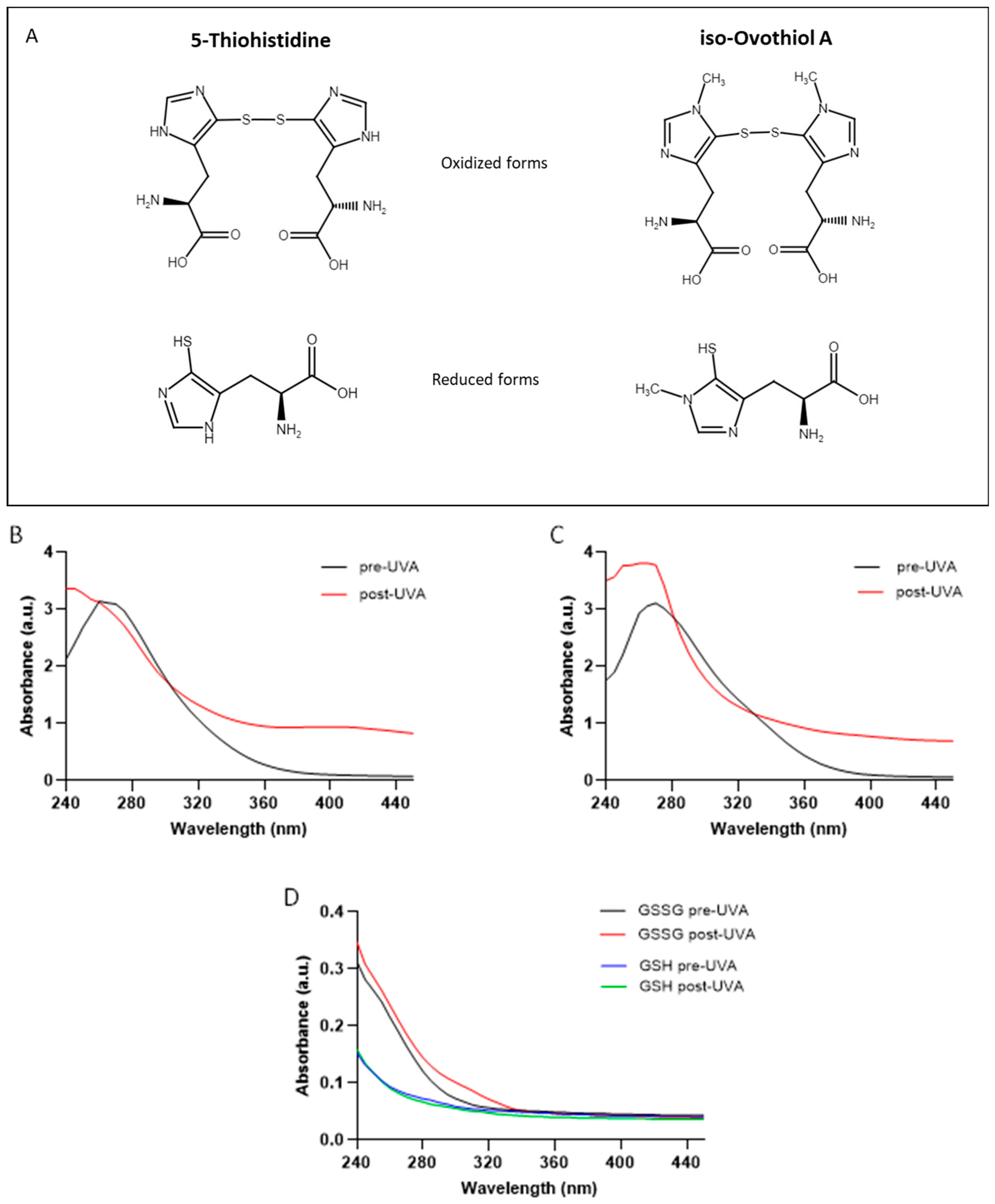 Marinedrugs 22 00002 g001