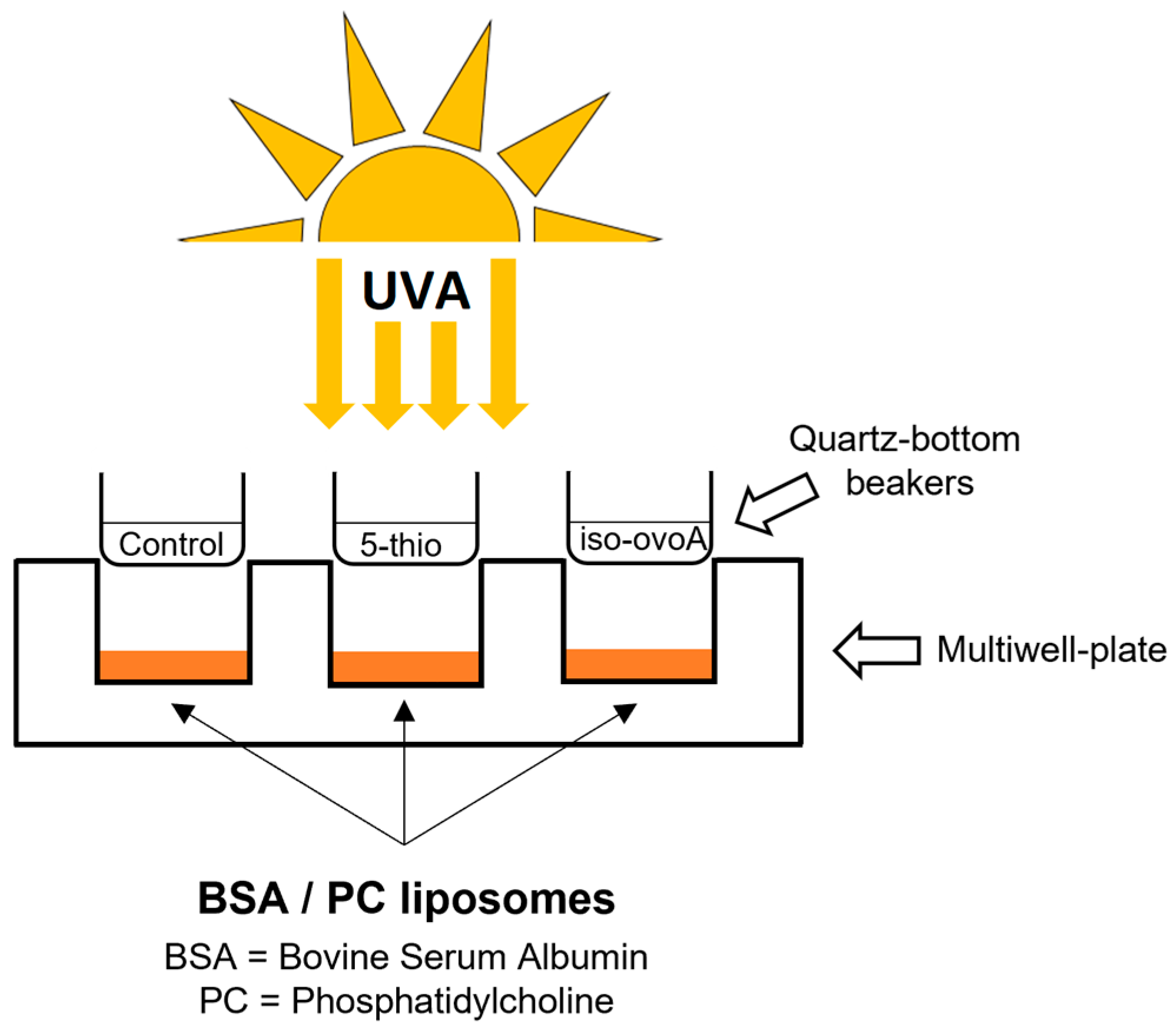 Marinedrugs 22 00002 g003