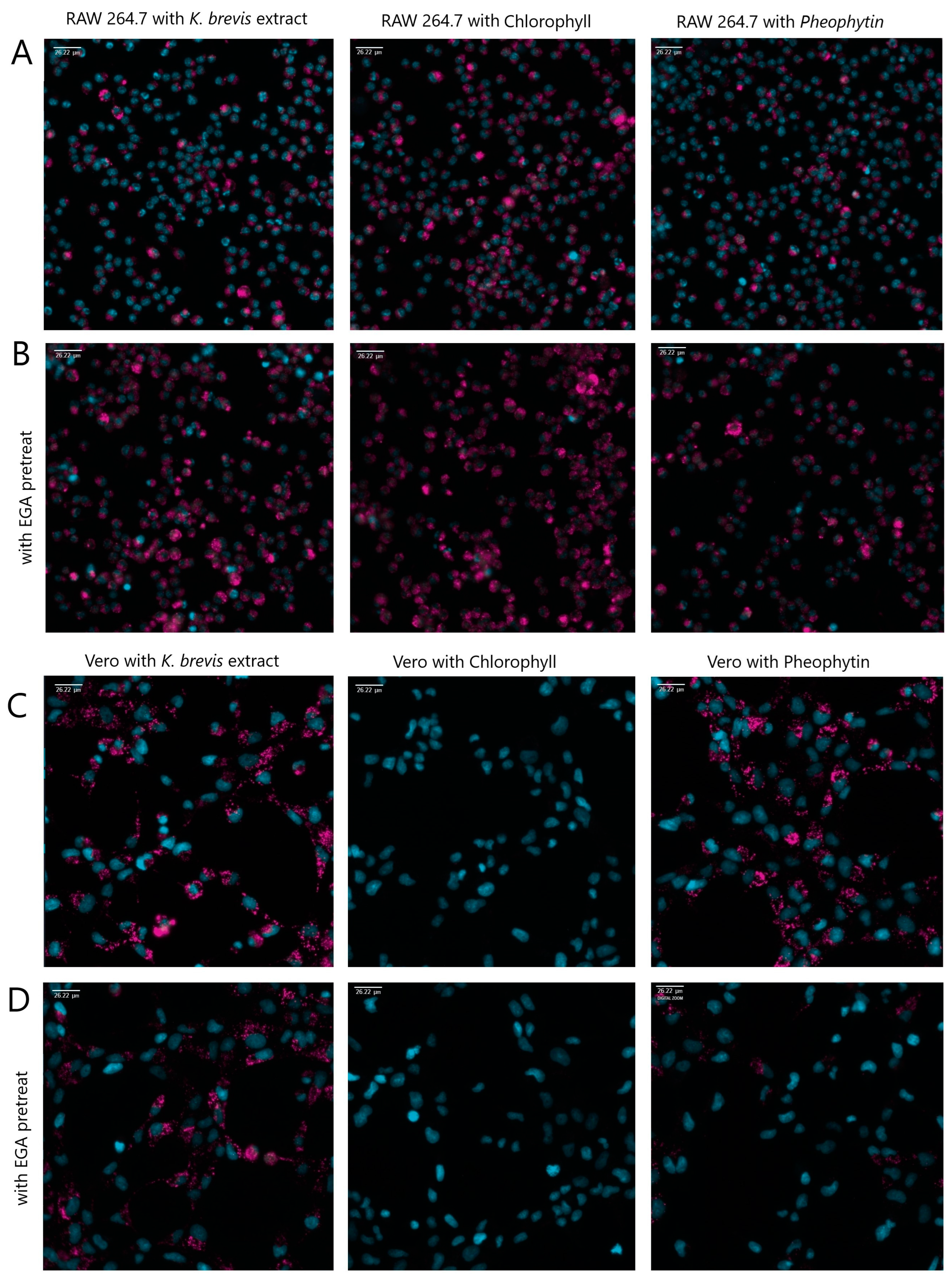 Marinedrugs 22 00004 g005