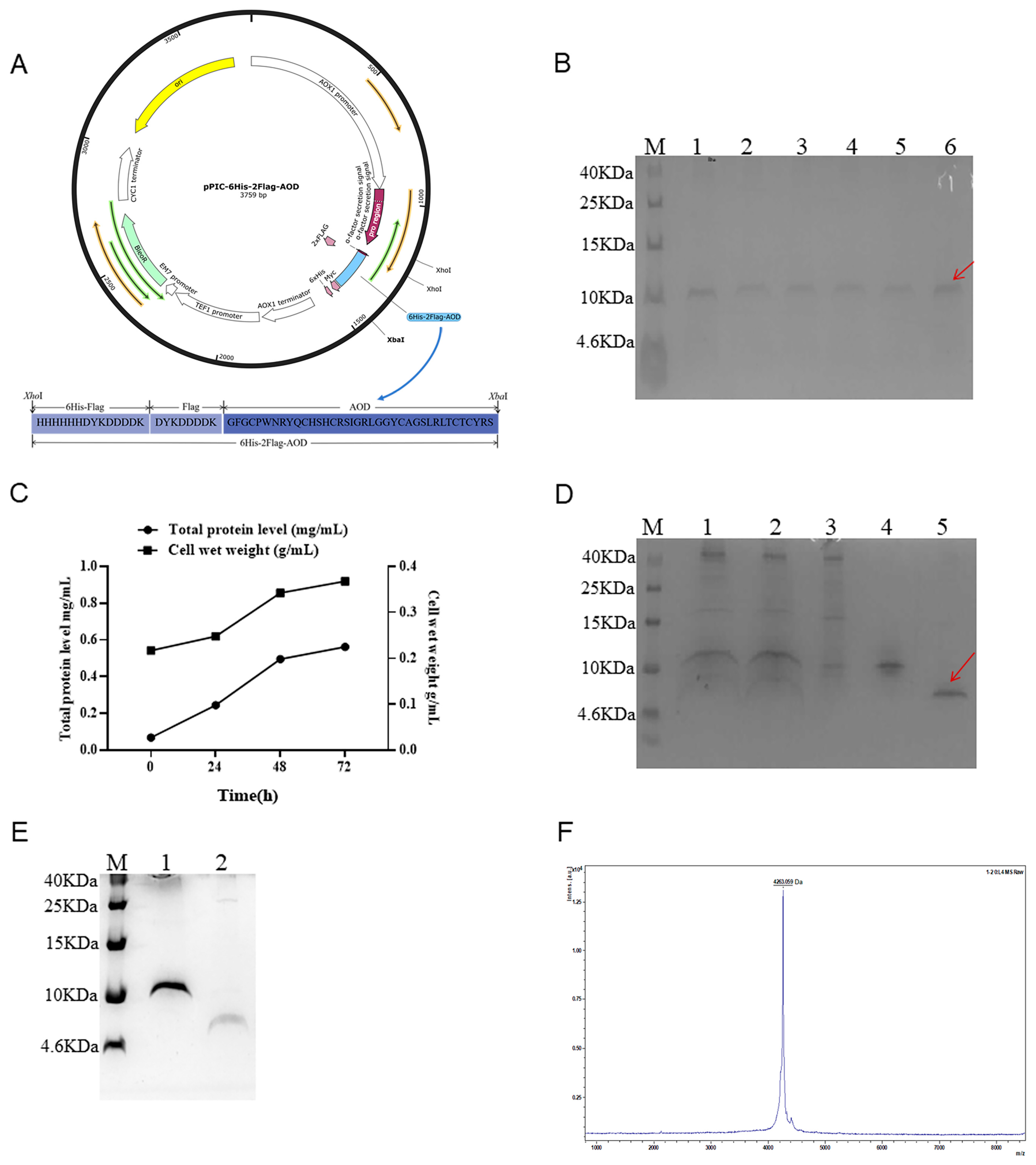 Marinedrugs 22 00008 g001
