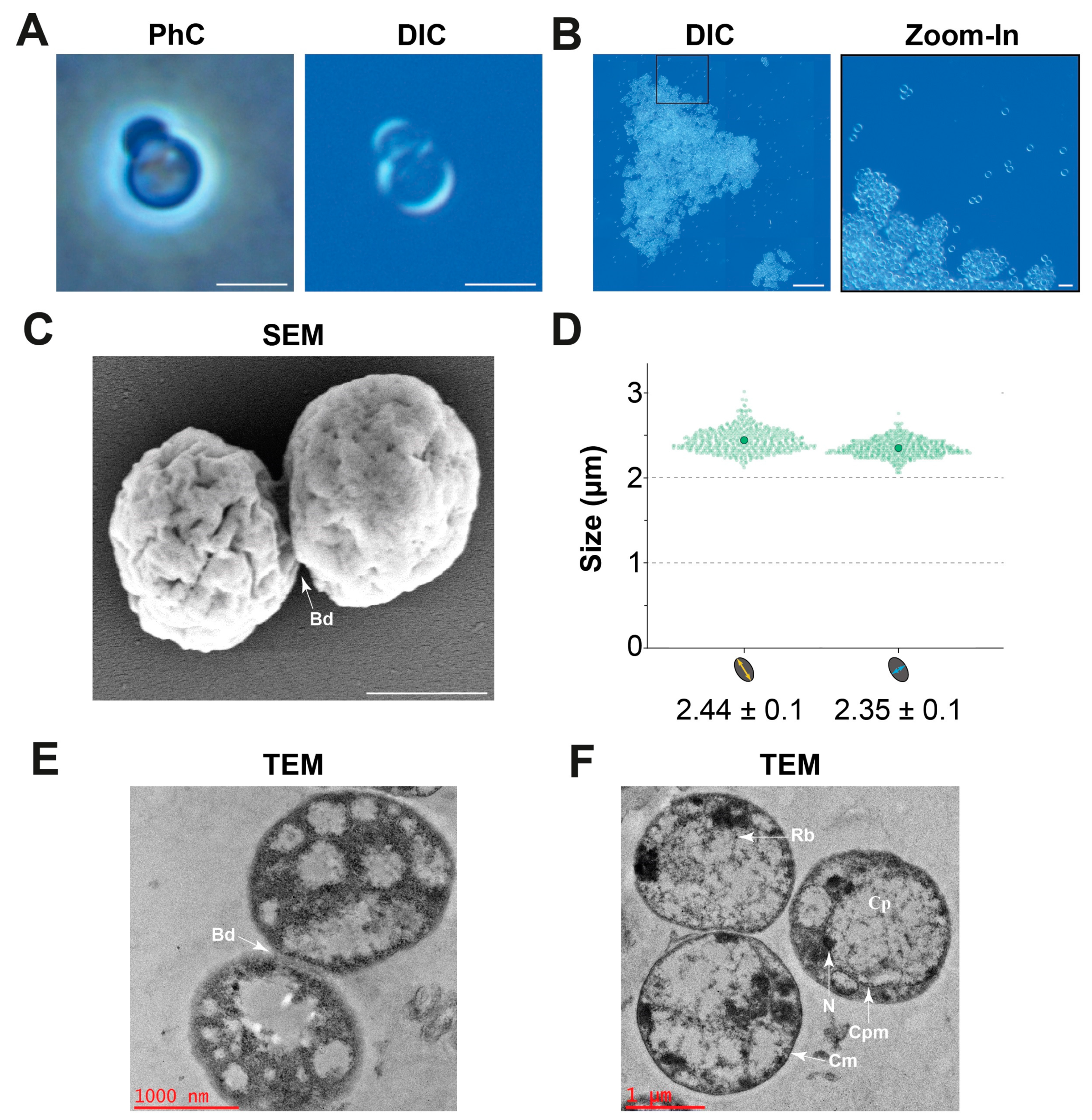 Marinedrugs 22 00010 g005