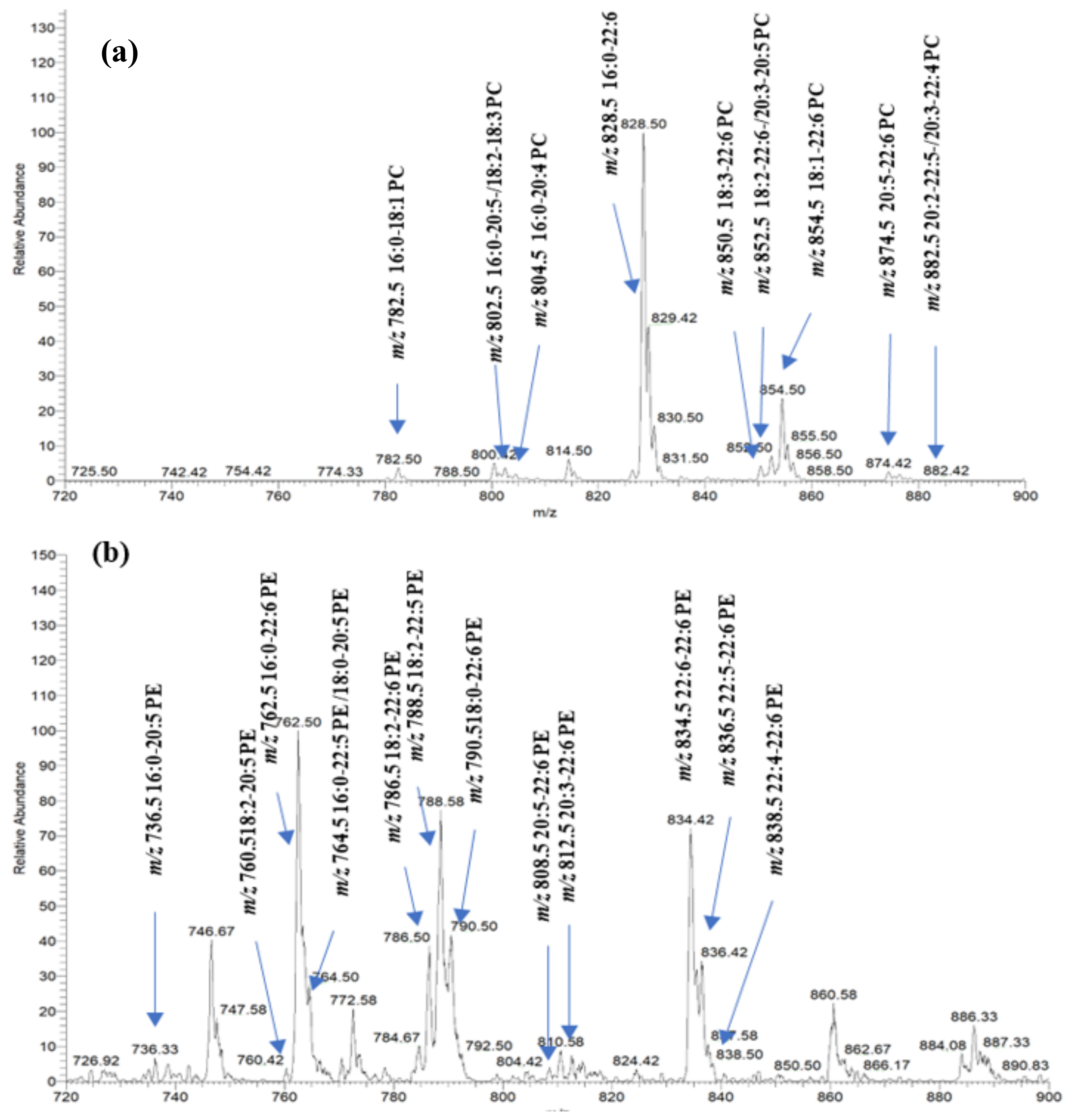 Marinedrugs 22 00011 g001