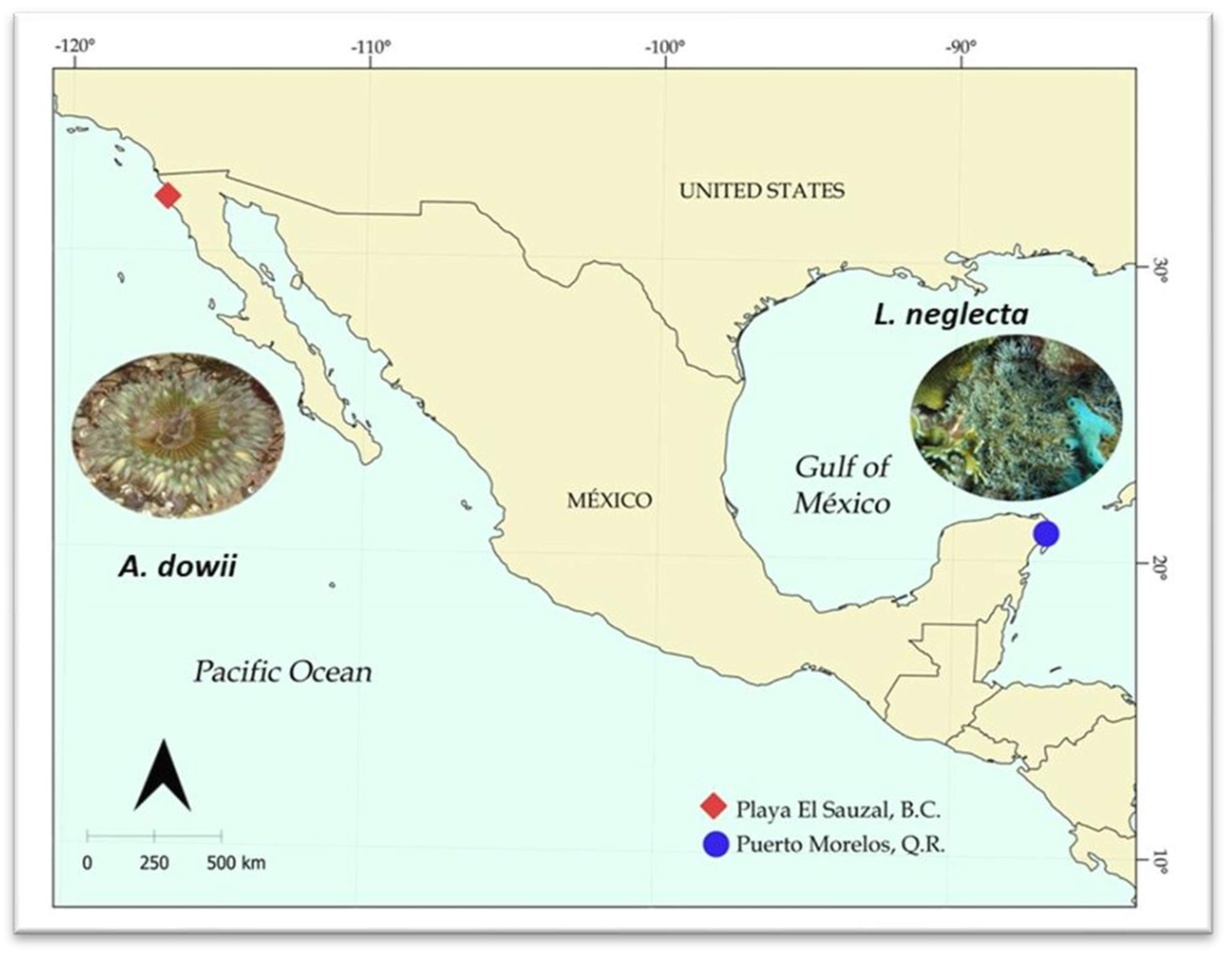 Marinedrugs 22 00012 g001