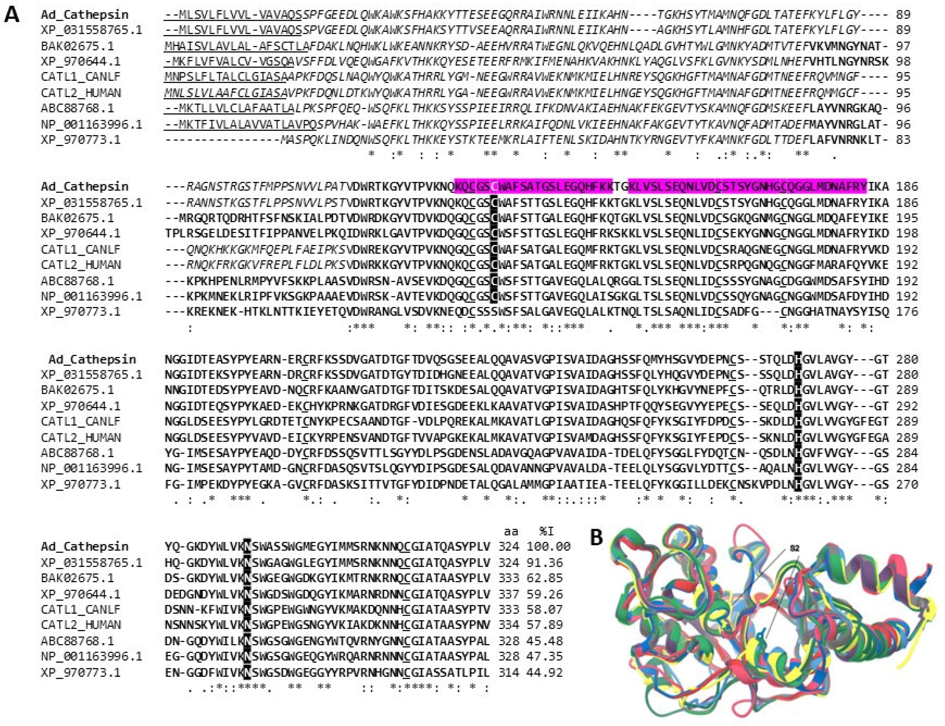Marinedrugs 22 00012 g005