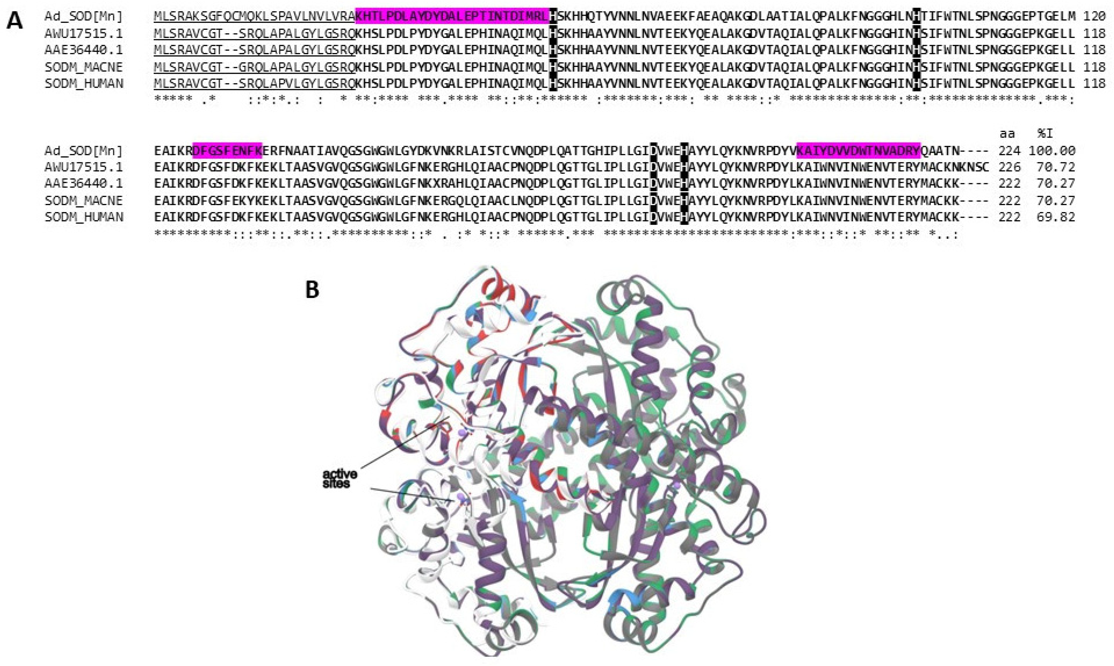 Marinedrugs 22 00012 g008