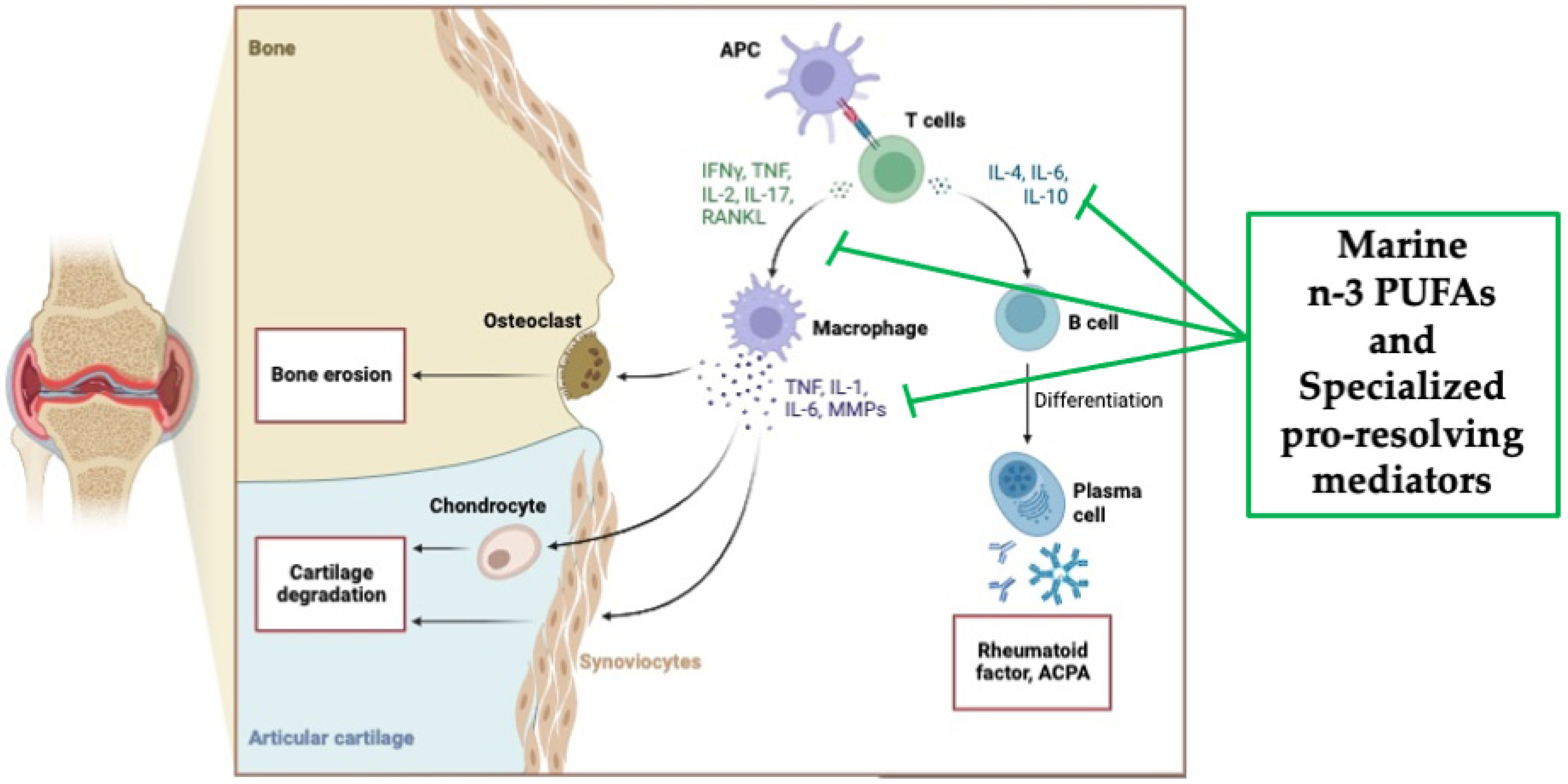 Marinedrugs 22 00017 g003 Marinedrugs 22 00017 g003