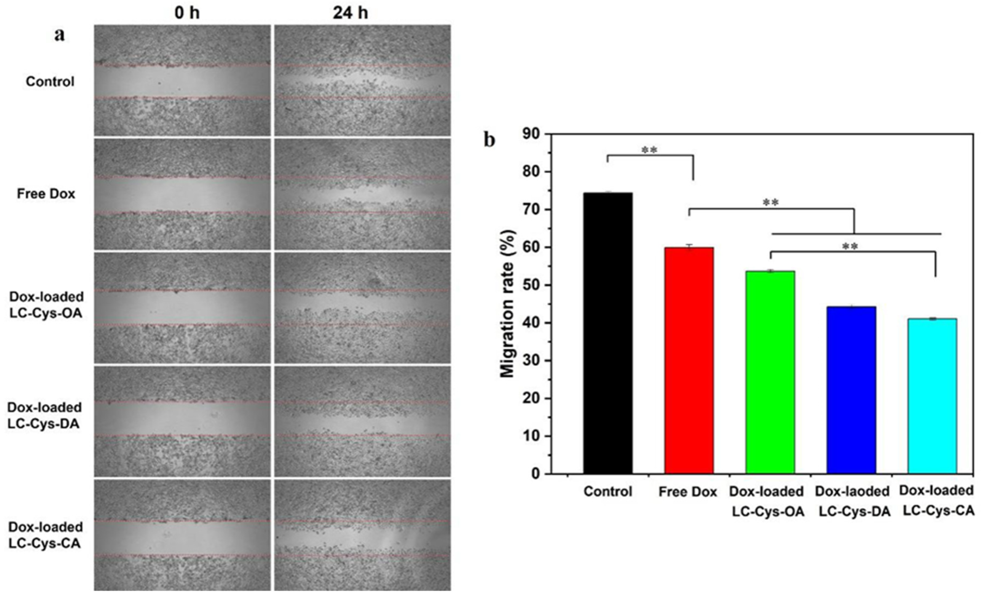 Marinedrugs 22 00018 g009