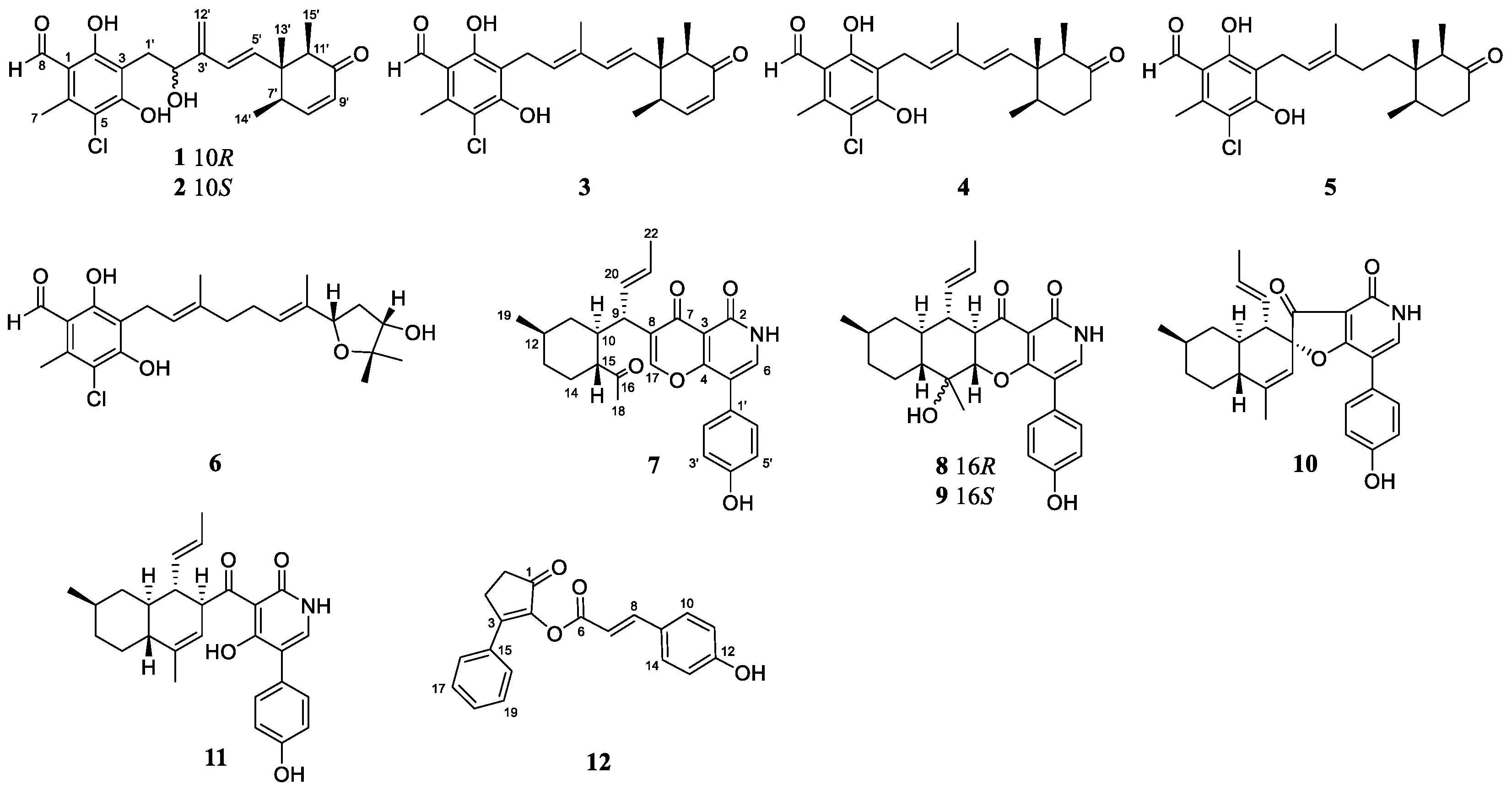 Marinedrugs 22 00025 g001 Marinedrugs 22 00025 g001