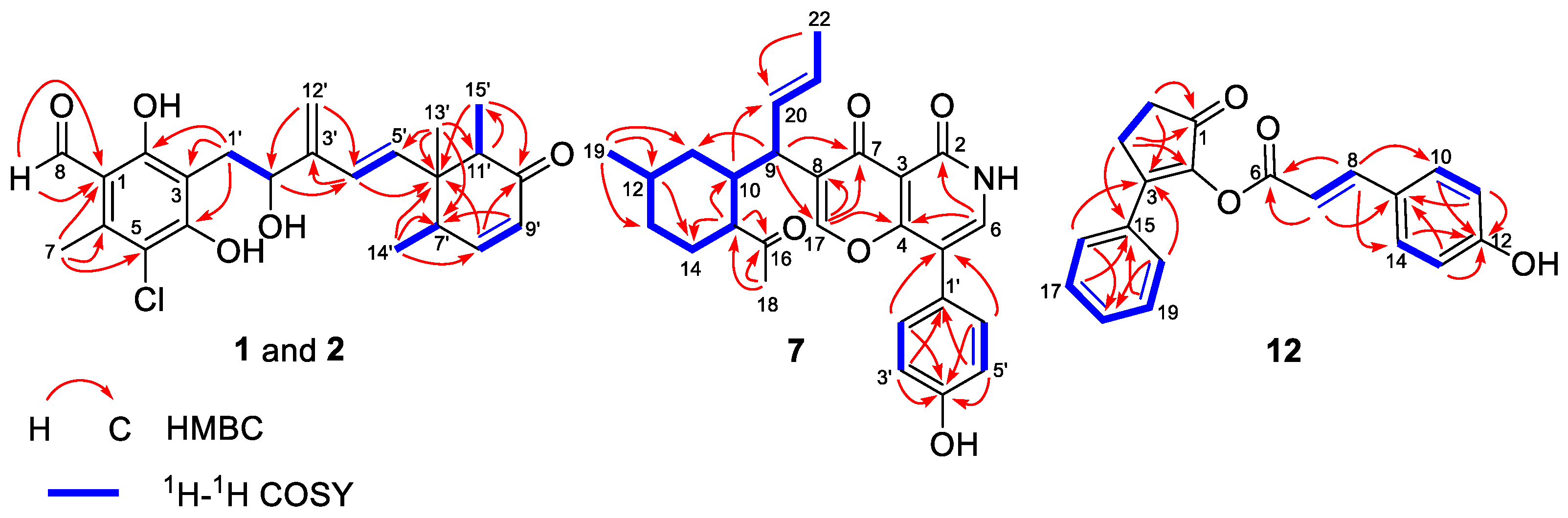 Marinedrugs 22 00025 g002 Marinedrugs 22 00025 g002