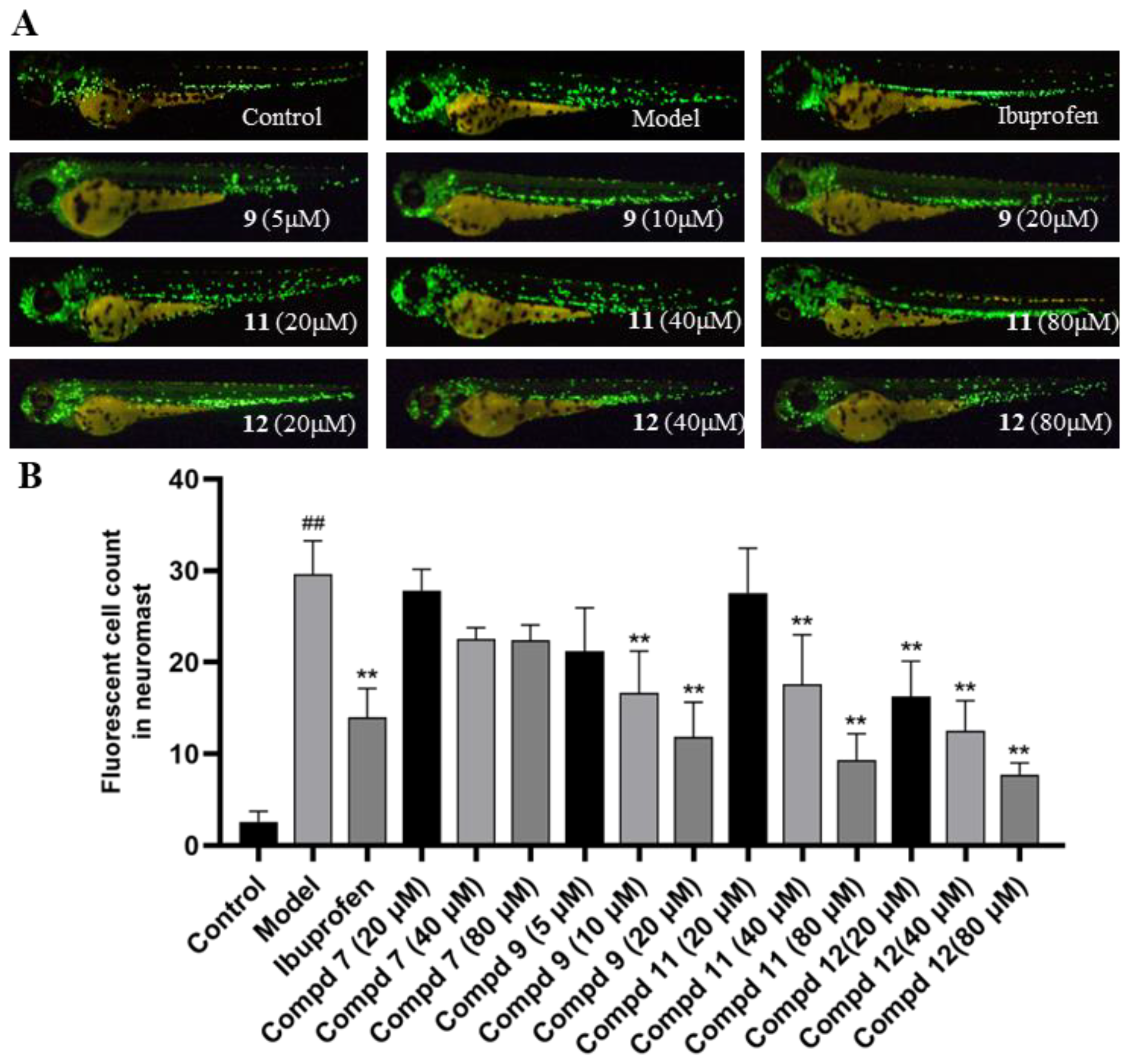 Marinedrugs 22 00025 g007 Marinedrugs 22 00025 g007