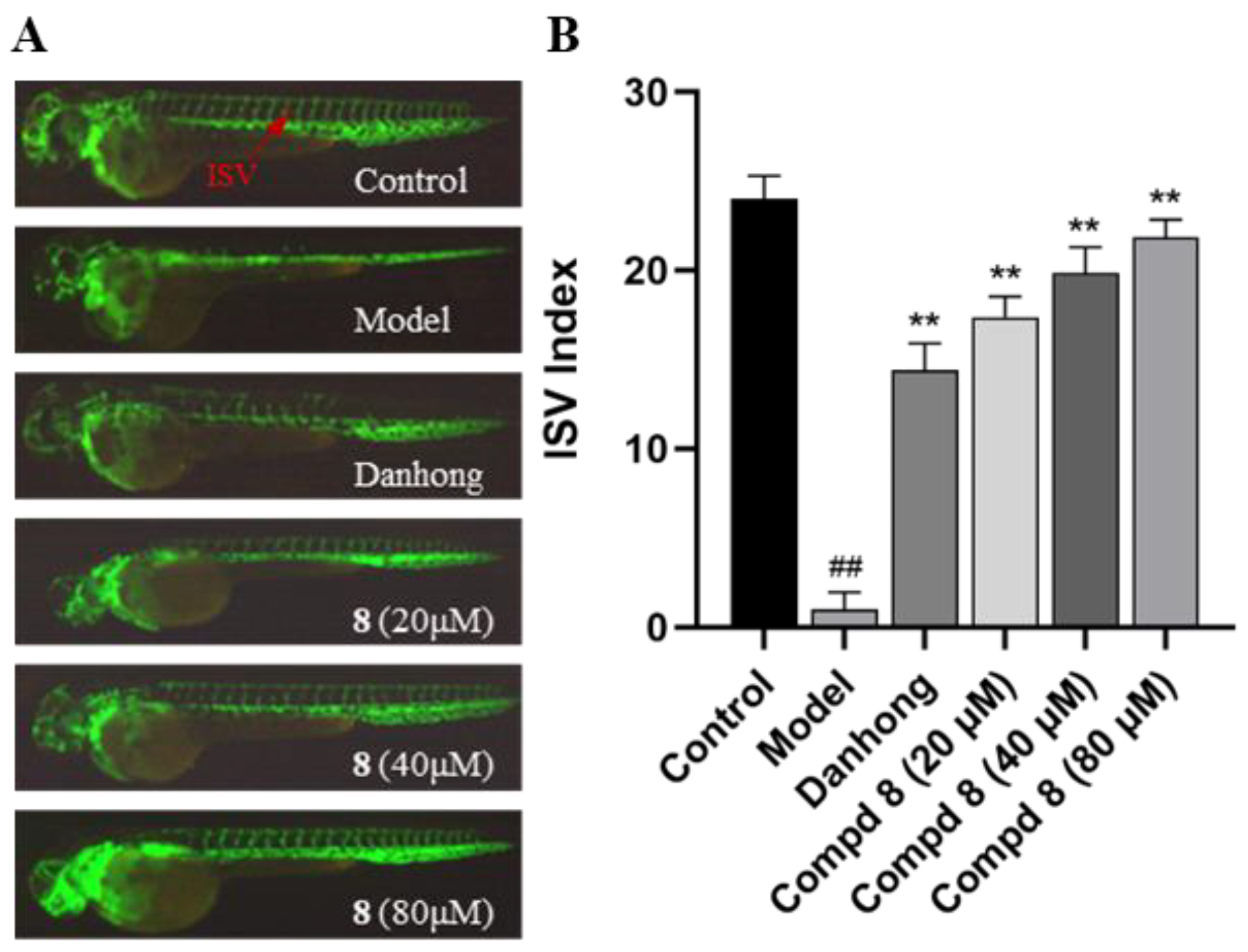 Marinedrugs 22 00025 g008 Marinedrugs 22 00025 g008