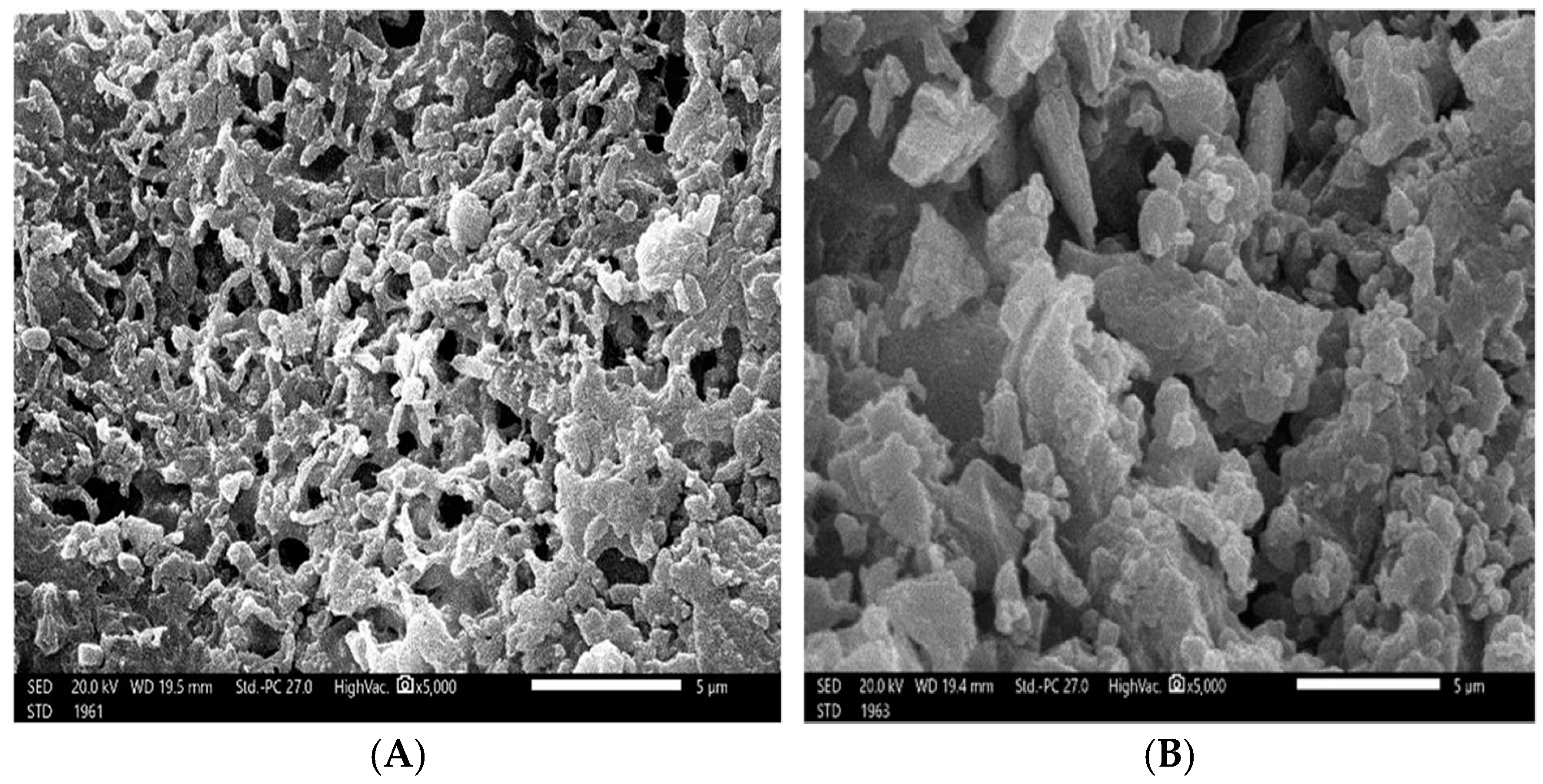 Marinedrugs 22 00030 g003