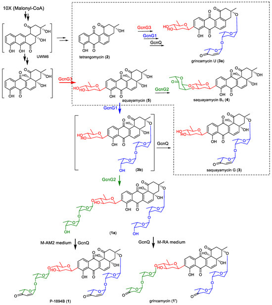 まりね Donzi 38 boats for sale - boats.com