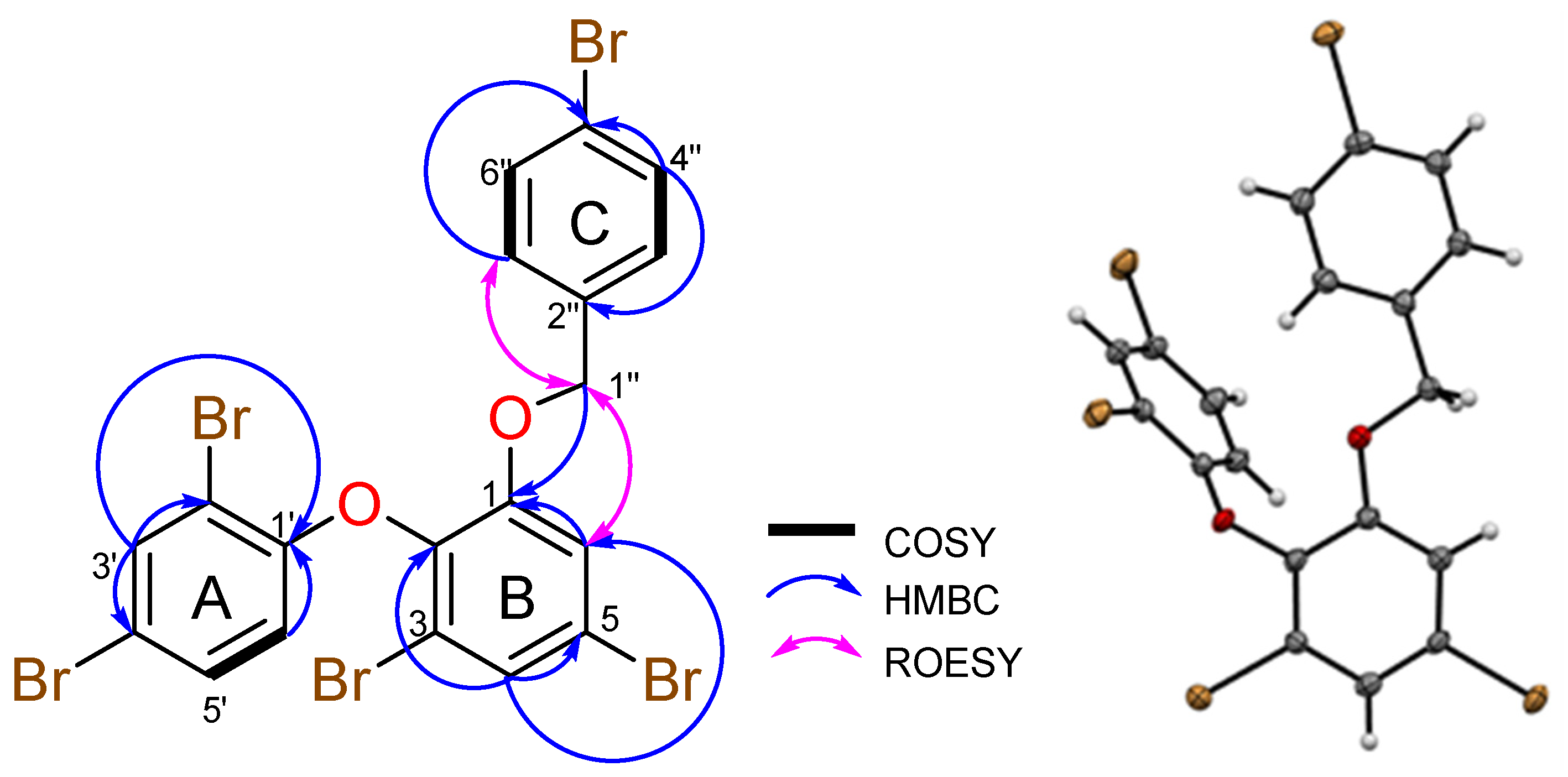Marinedrugs 22 00033 g003