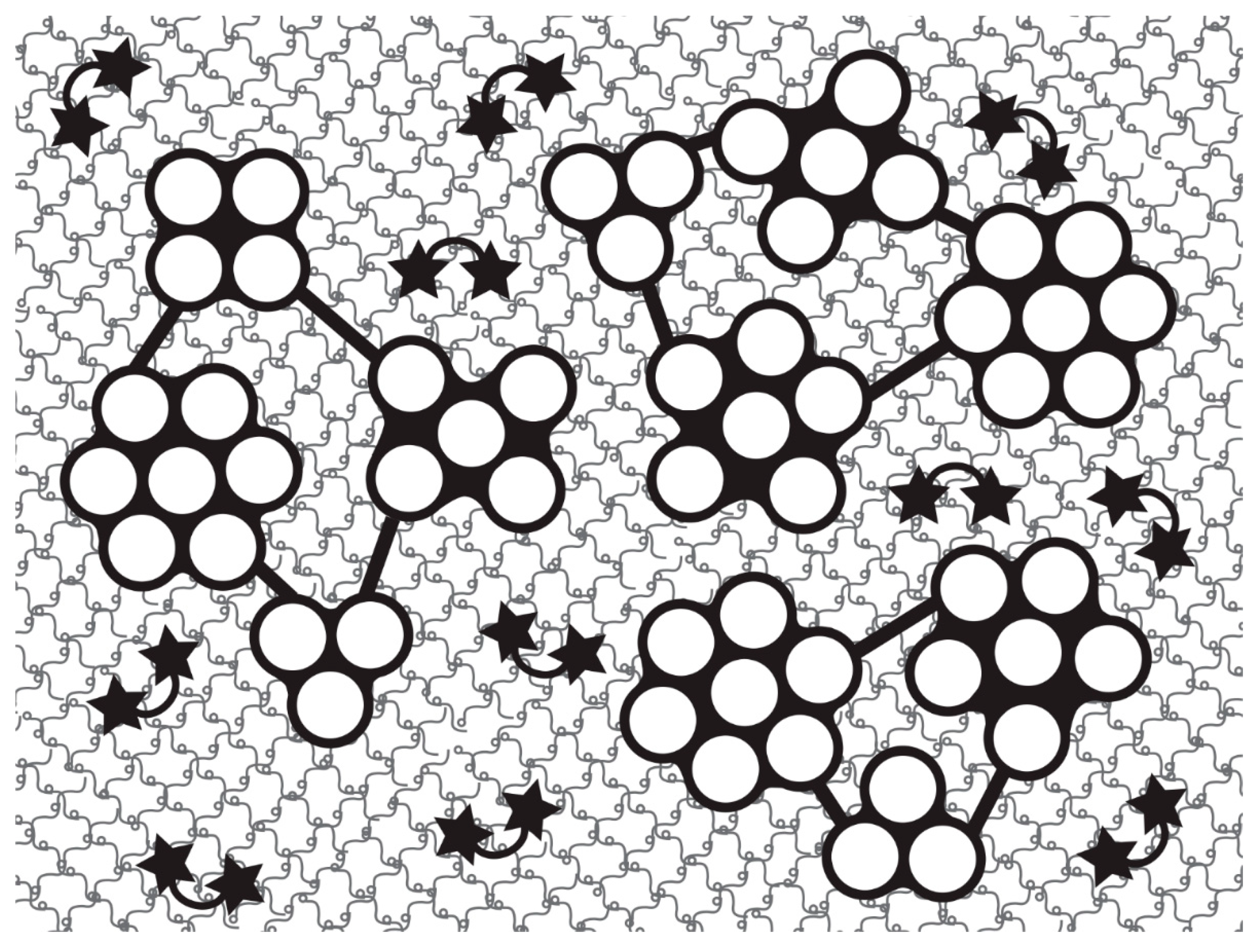 Marinedrugs 22 00037 g006 Marinedrugs 22 00037 g006