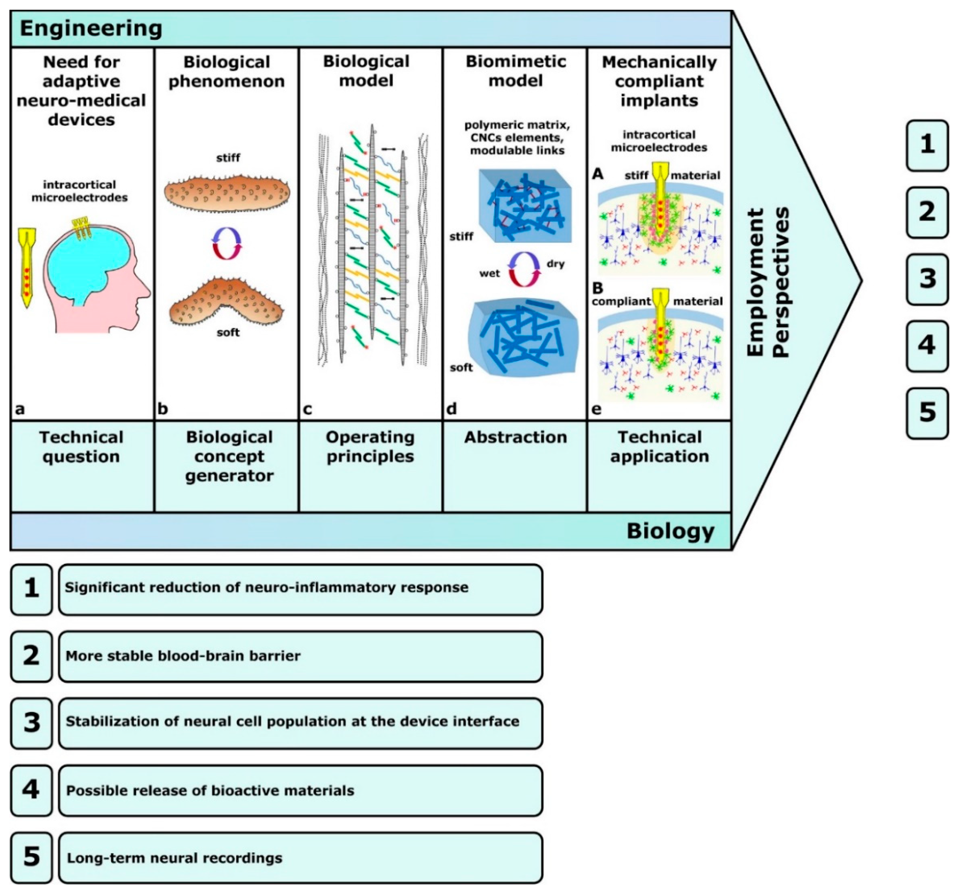Marinedrugs 22 00037 g008 Marinedrugs 22 00037 g008