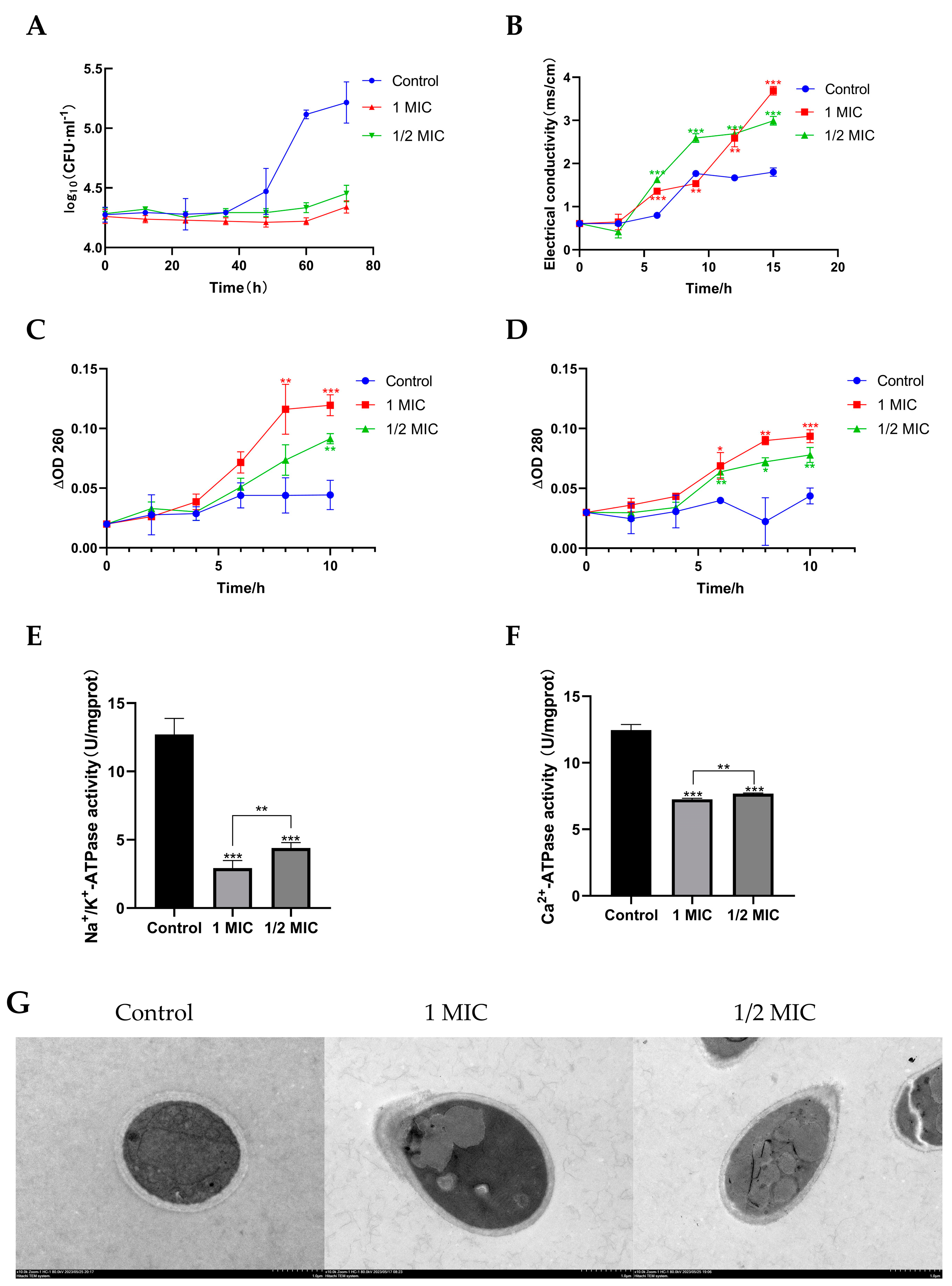 Marinedrugs 22 00038 g004 Marinedrugs 22 00038 g004