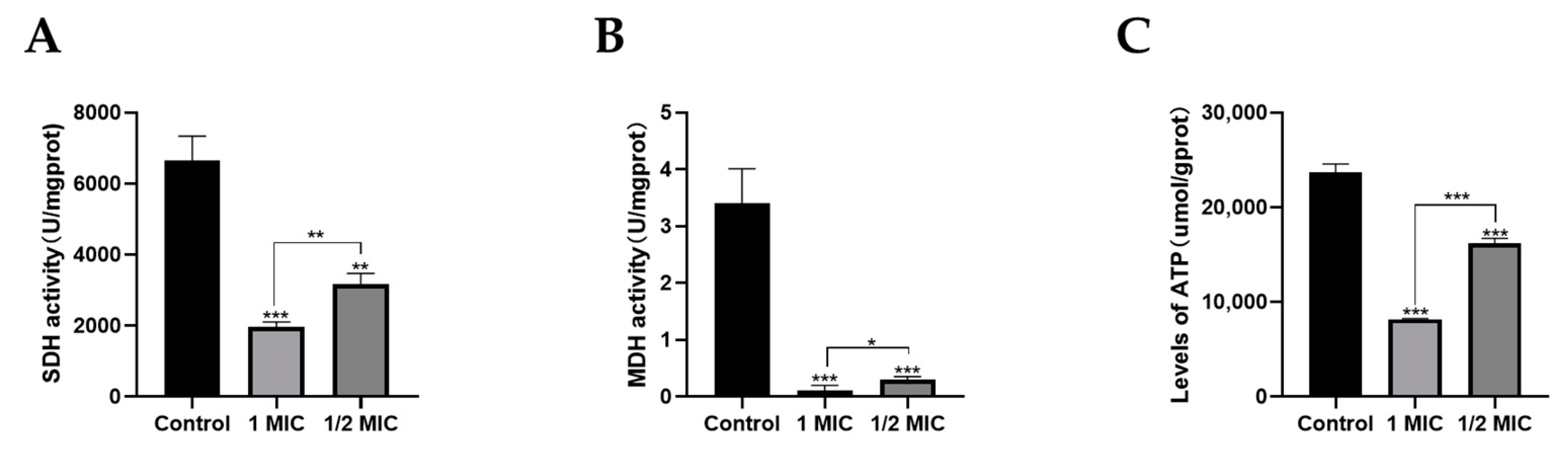 Marinedrugs 22 00038 g006 Marinedrugs 22 00038 g006