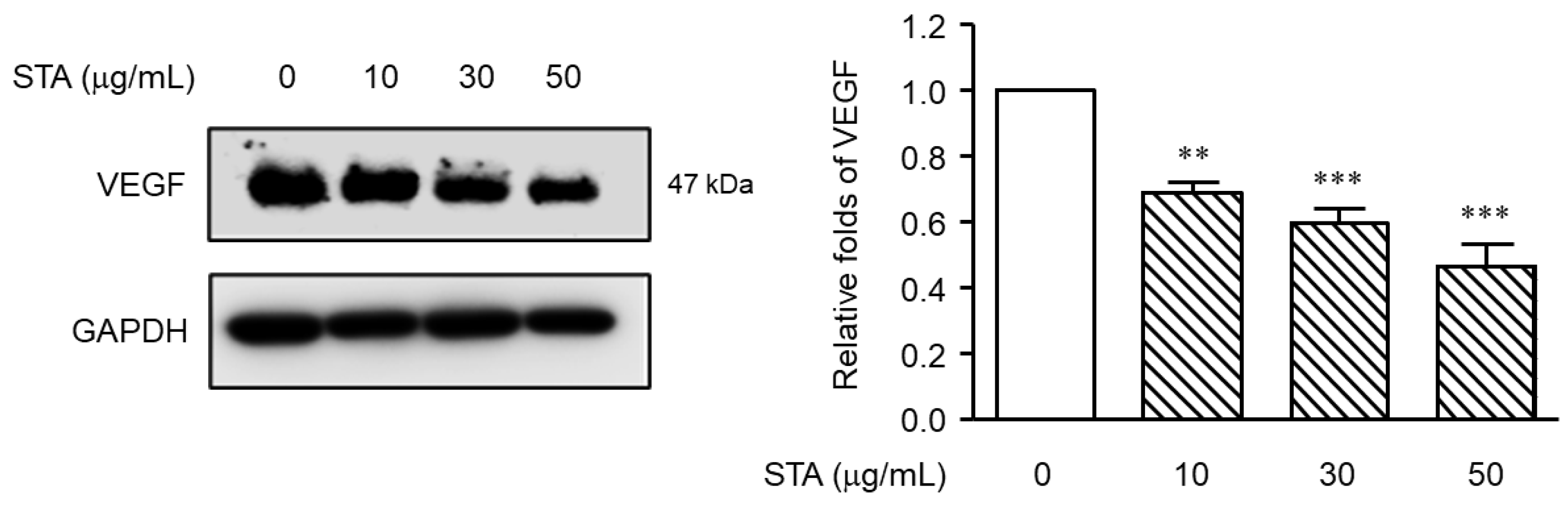 Marinedrugs 22 00039 g005 Marinedrugs 22 00039 g005