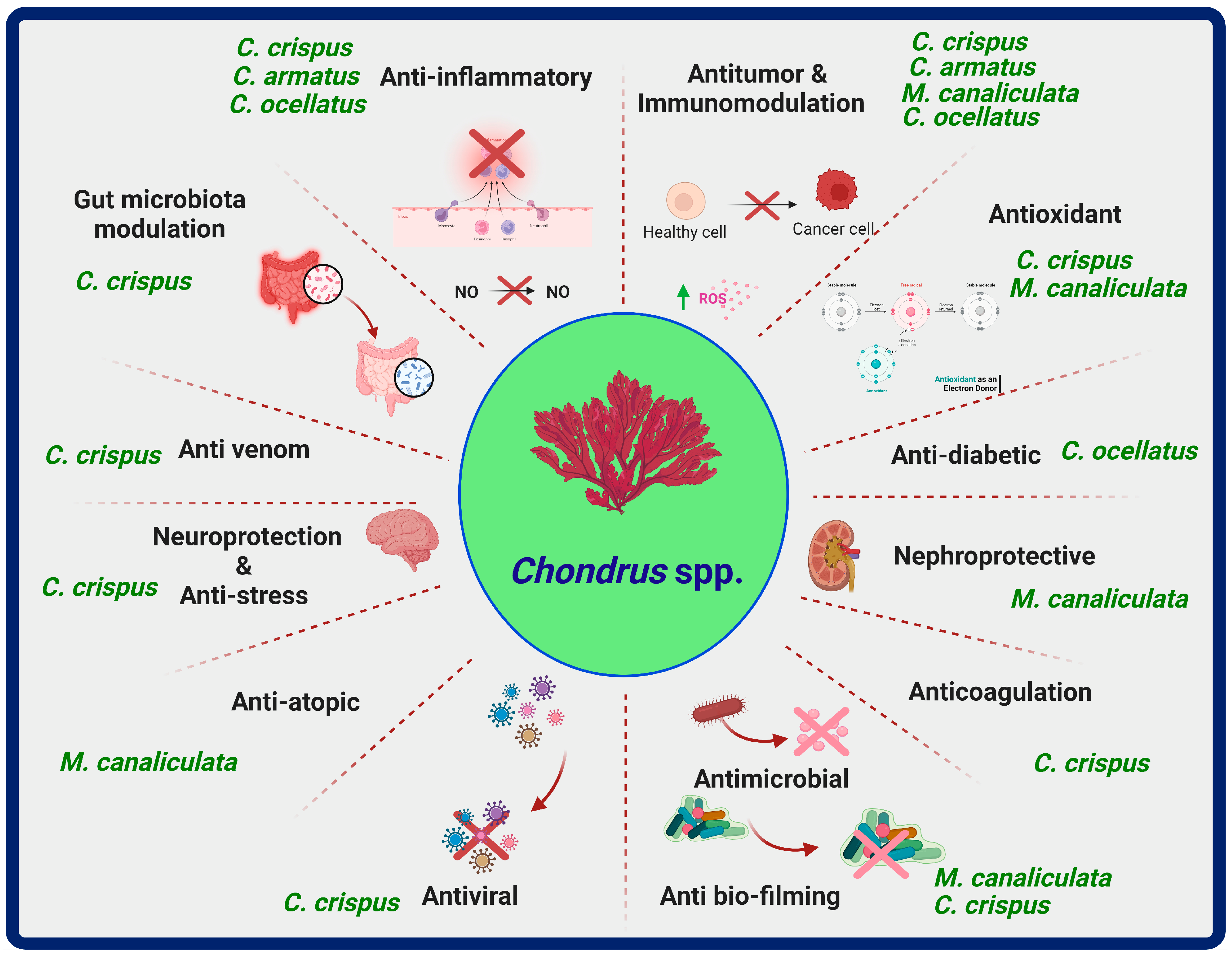 Marinedrugs 22 00047 g001