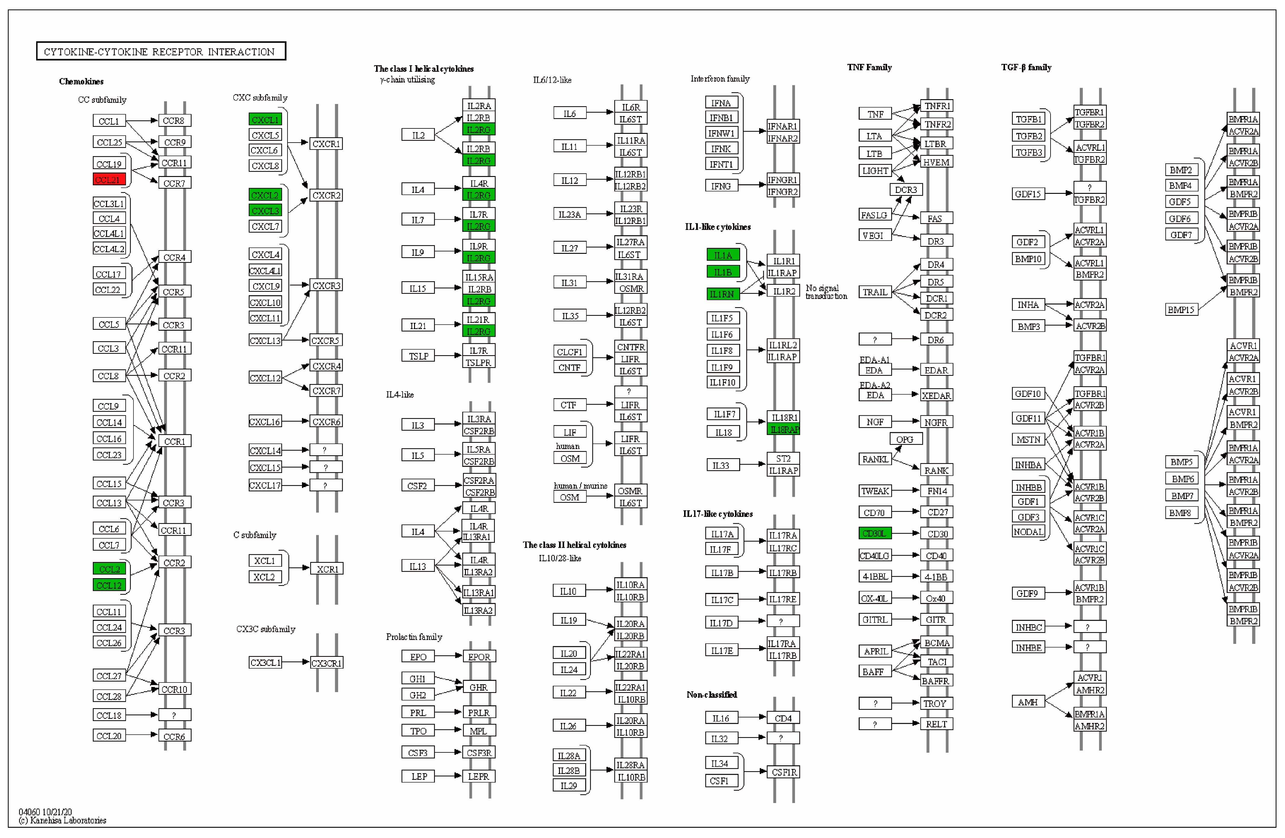 Marinedrugs 22 00049 g005