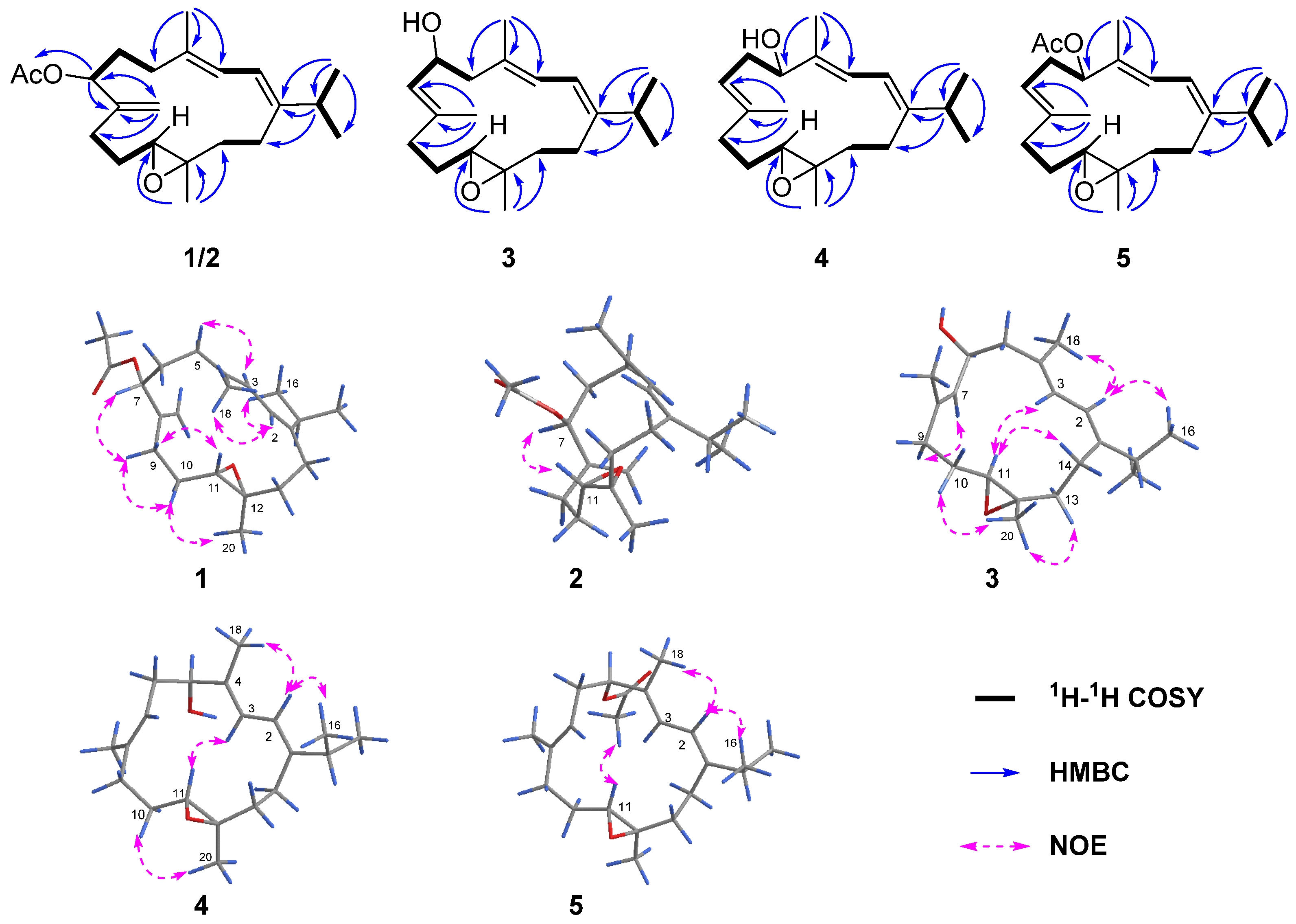 Marinedrugs 22 00050 g002