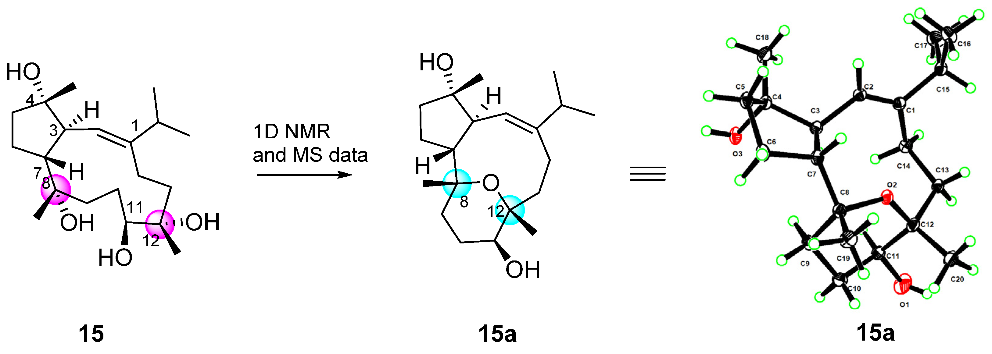 Marinedrugs 22 00050 g008