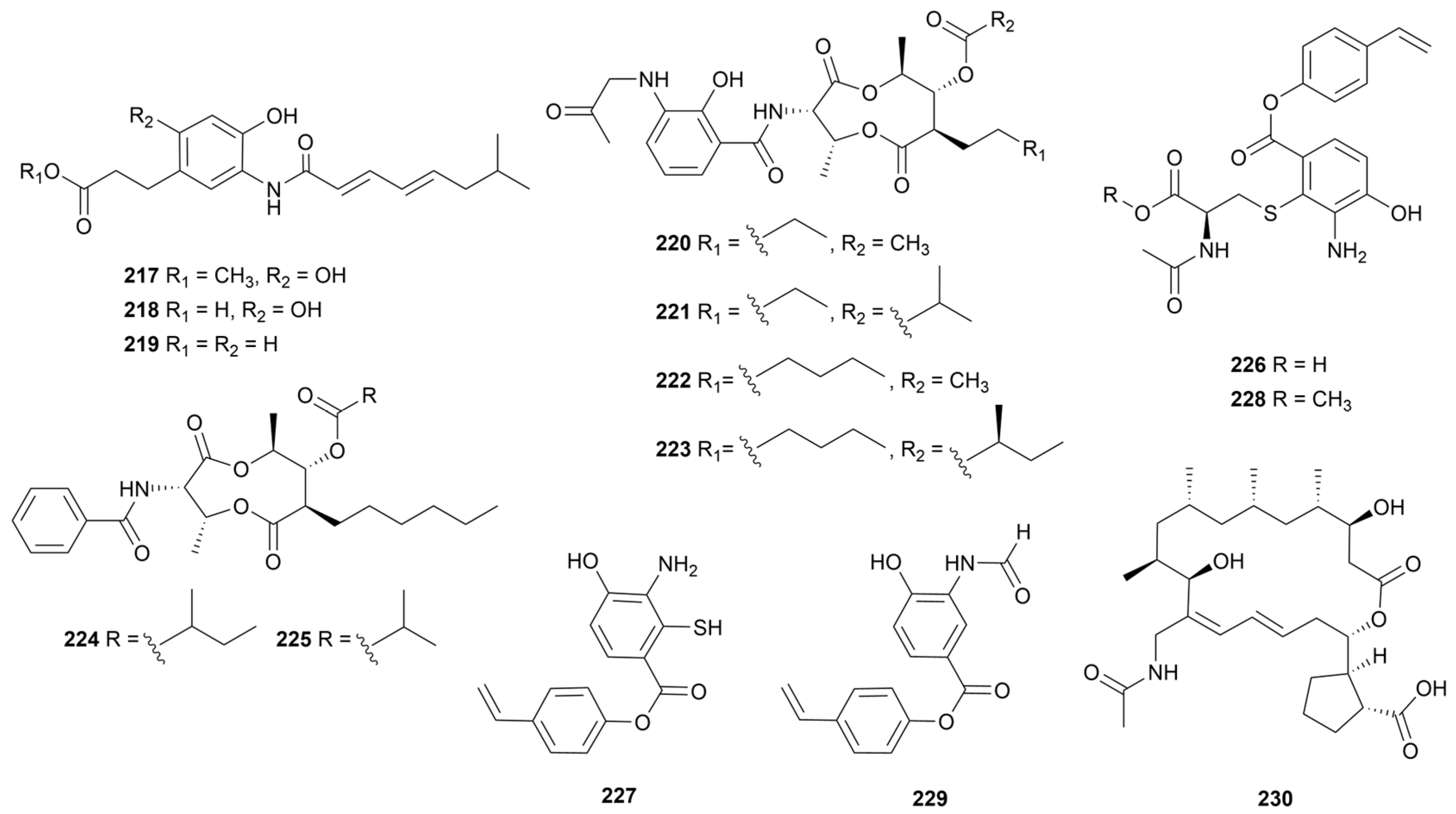 Marinedrugs 22 00051 g019