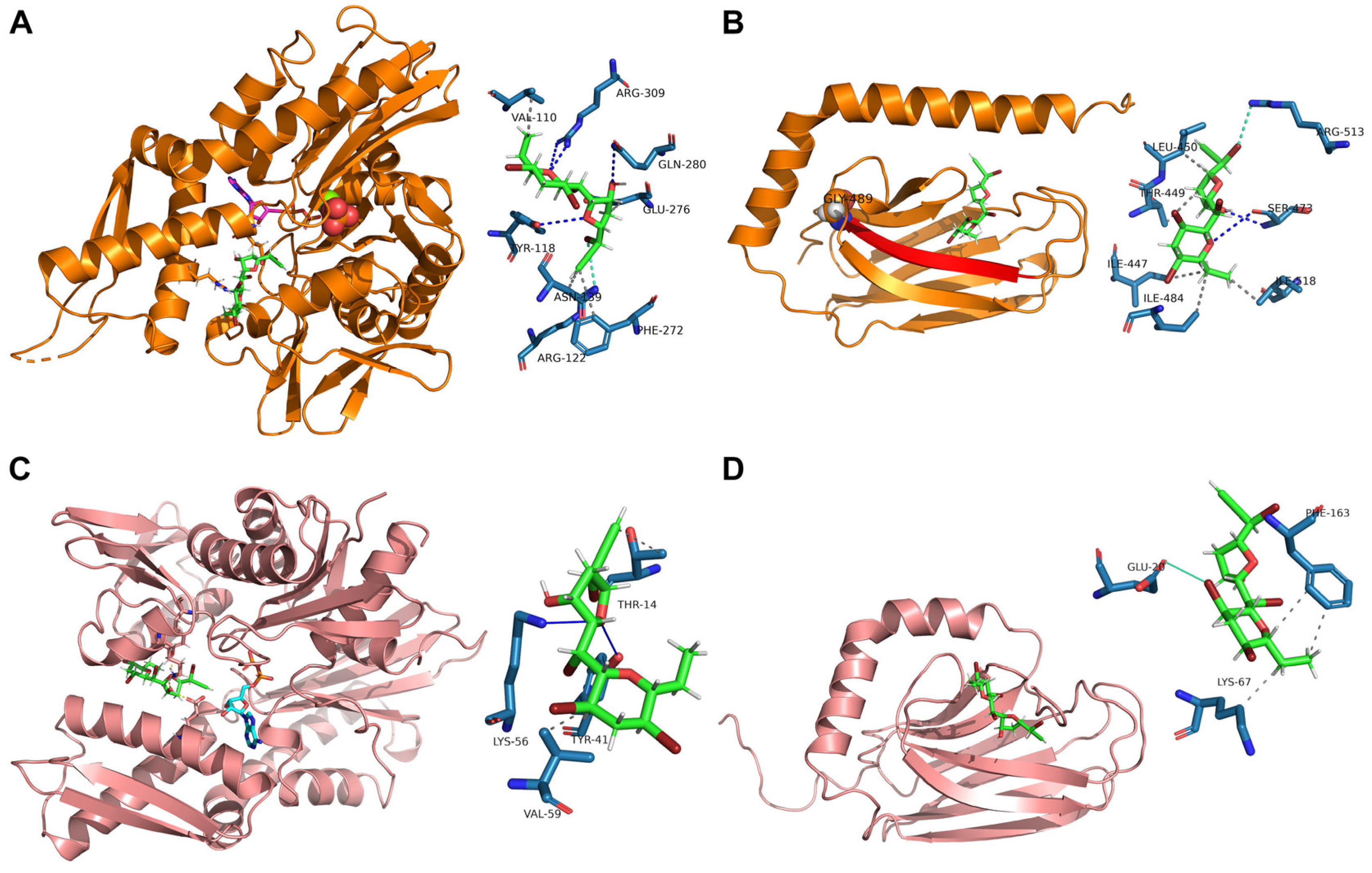 Marinedrugs 22 00052 g003