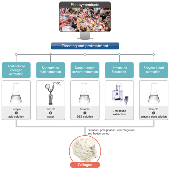 Marine Drugs Free FullText Fish ByProduct Collagen Extraction
